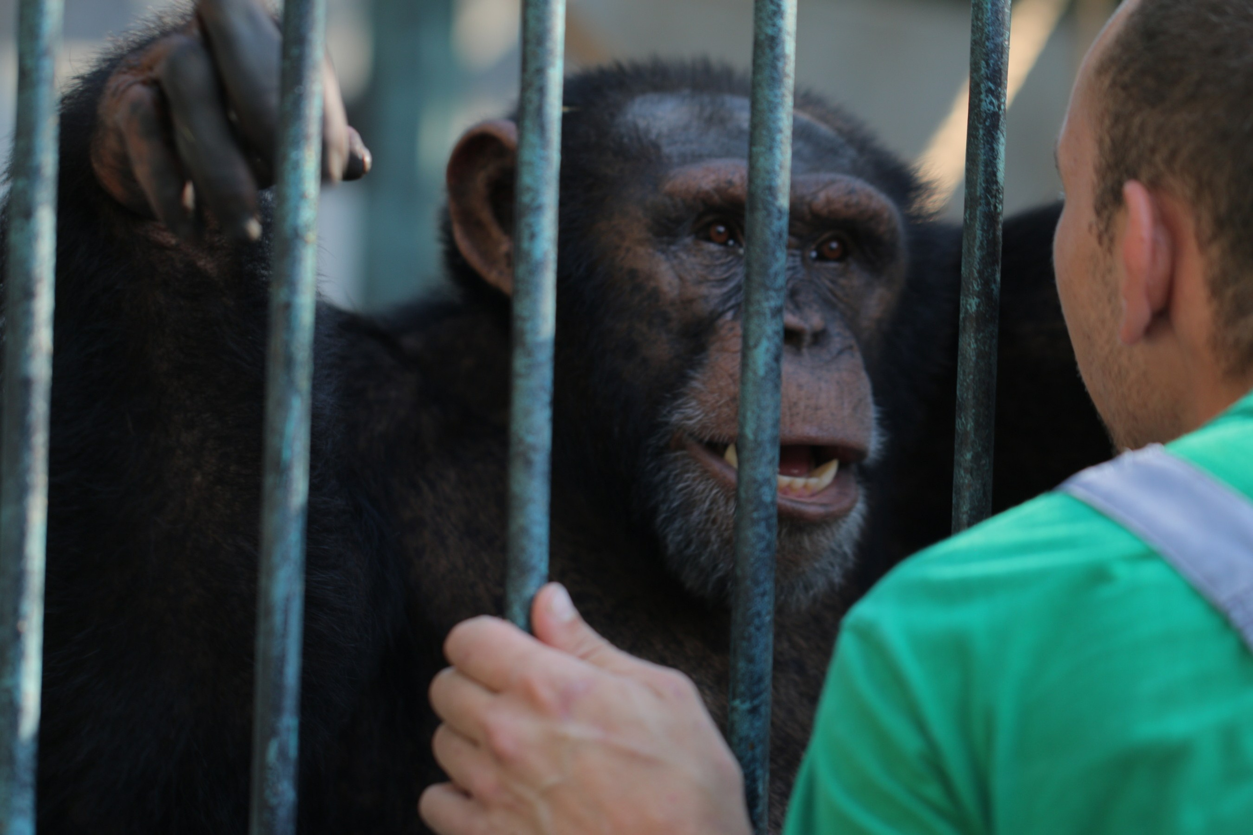 Крым 2018 г. Улица, люди, жизнь…