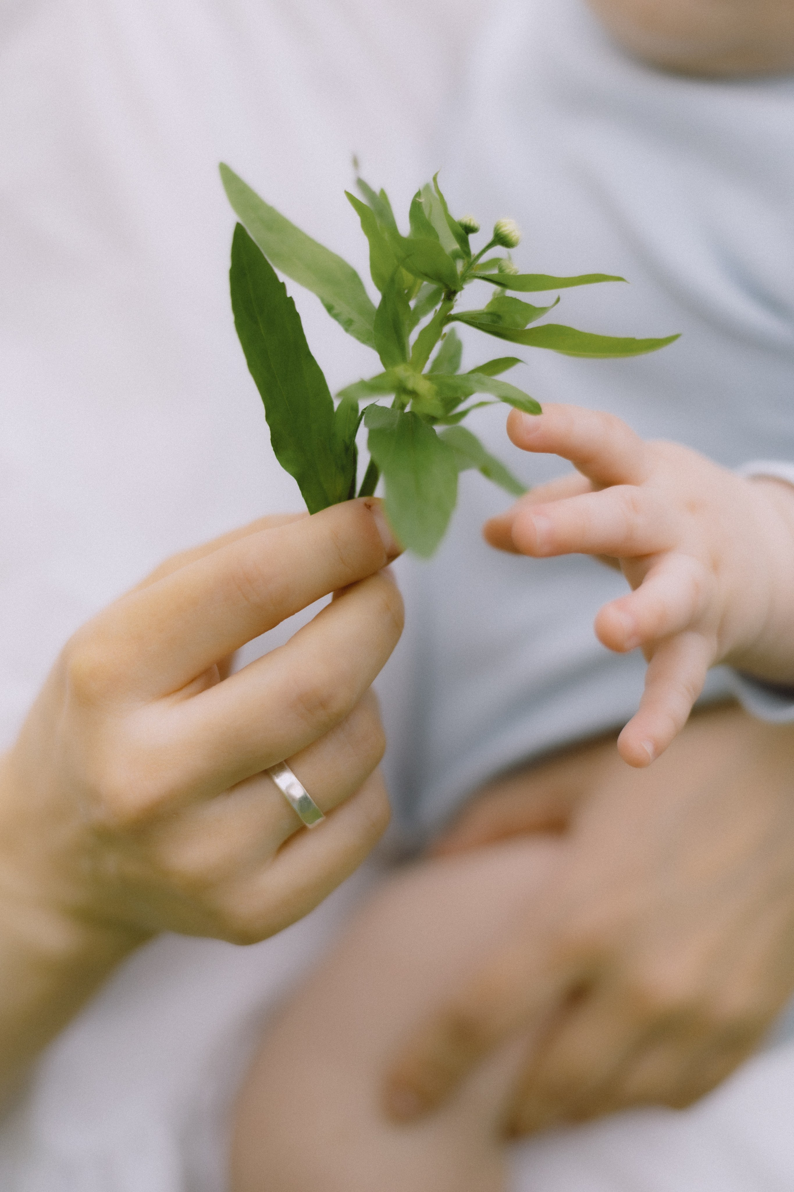 АЛИНА И ДИОН. Семейный и свадебный фотограф в Волгограде Наталья Орина