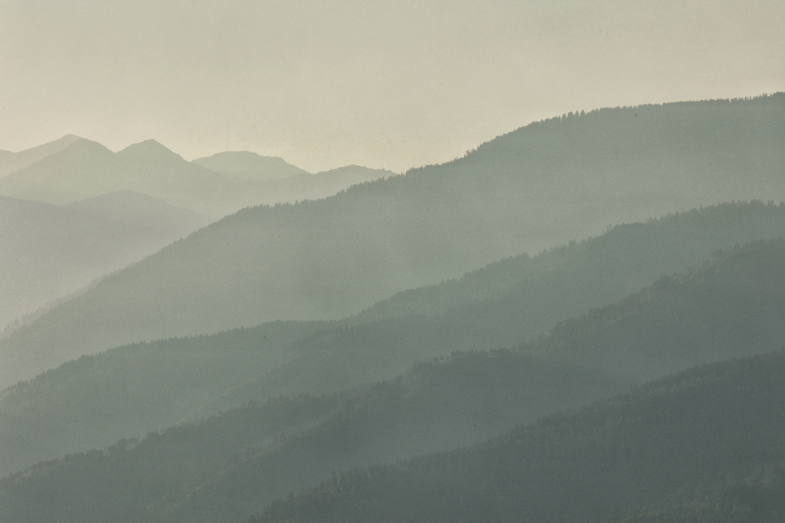 2024. Тащилин Сергей. Фотографии. Жизнь. Хобби