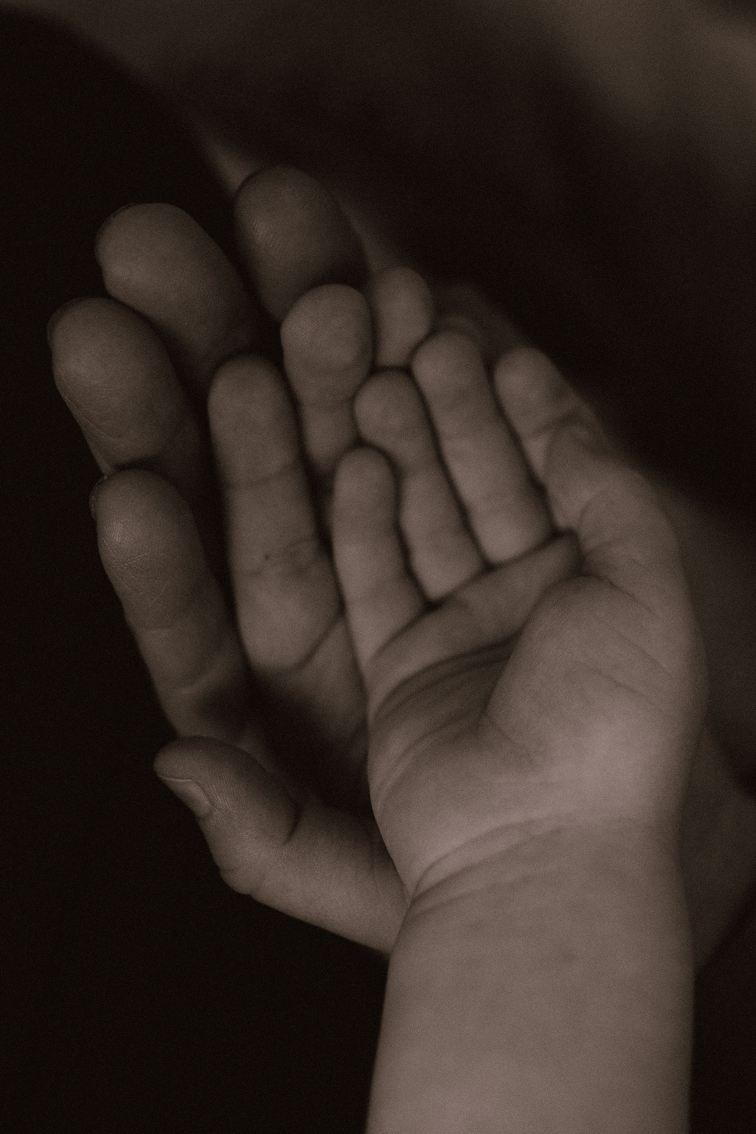 Поколение. Фотограф в Ставрополе Svetlana Matveeva