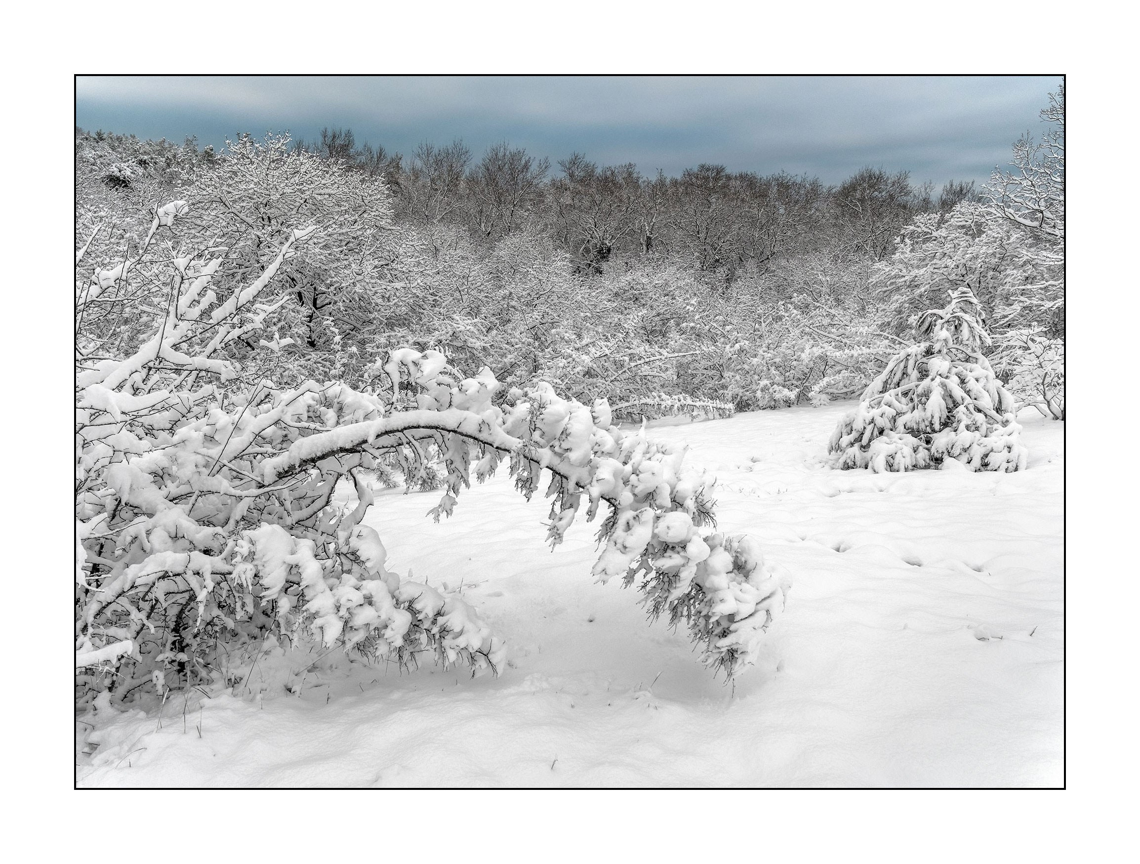 фотограф Геленджик