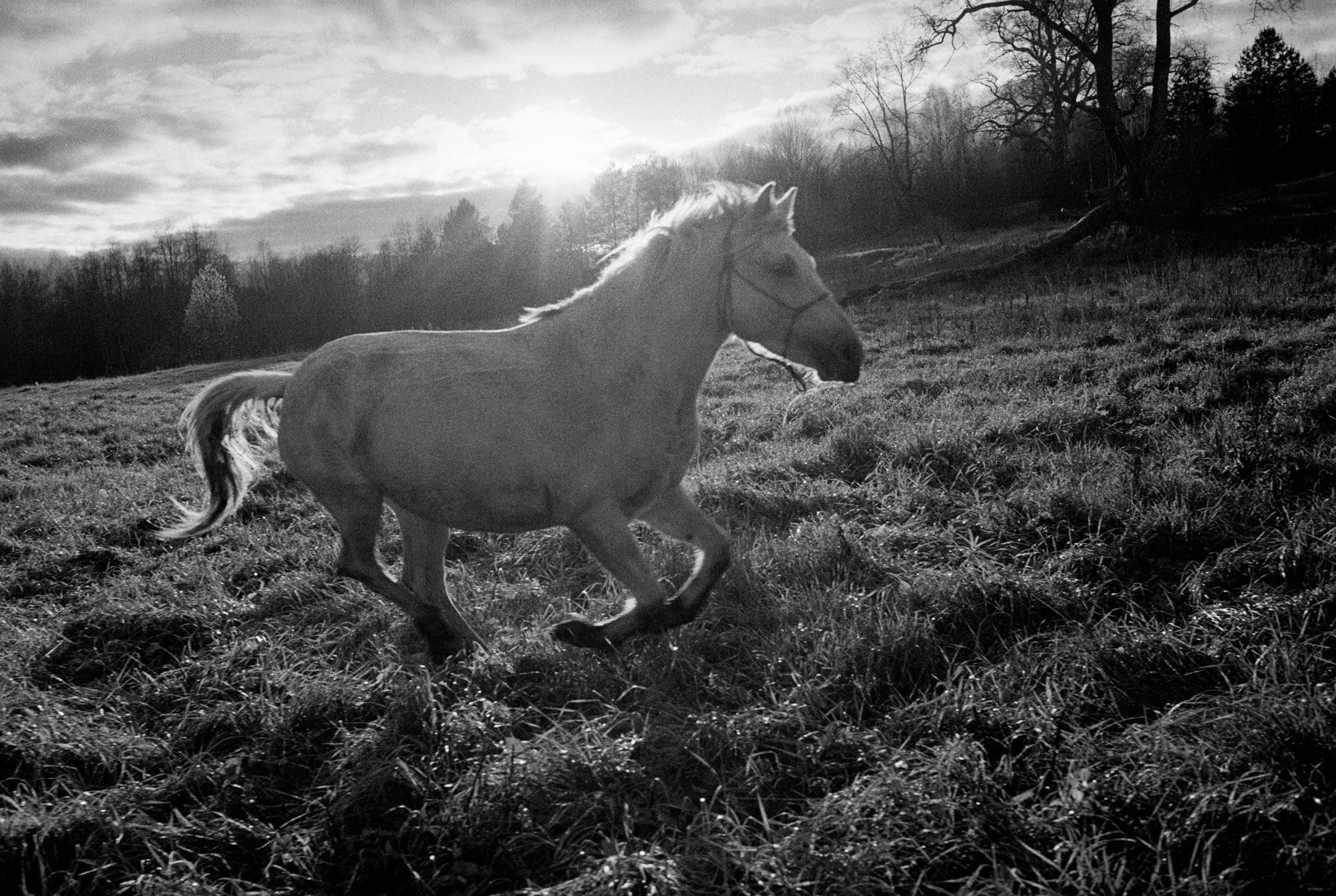 Кострома Blues. Документальный фотограф Алексей Мякишев, Москва