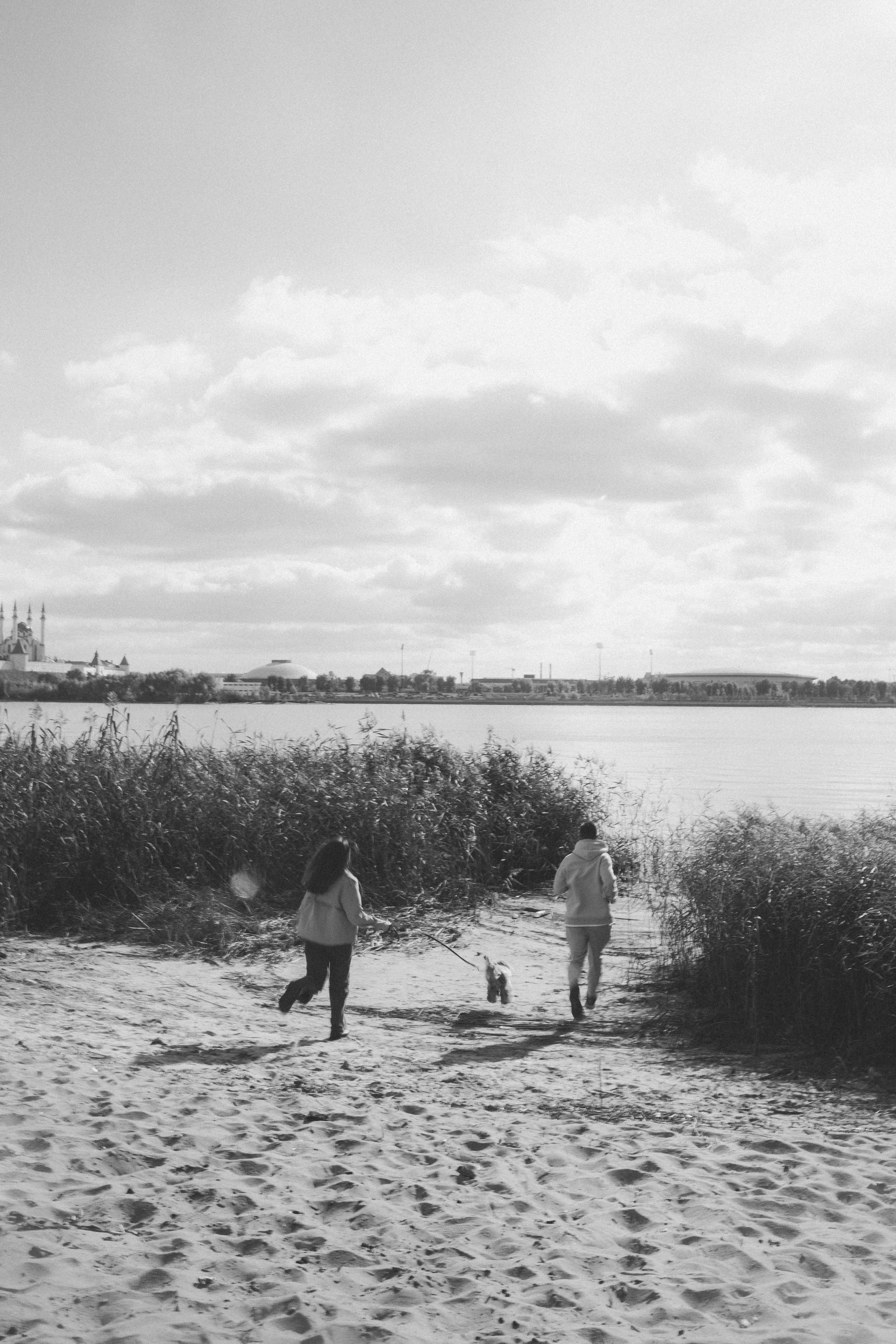 Саша Леся и Чипс. Свадебный фотограф Казань