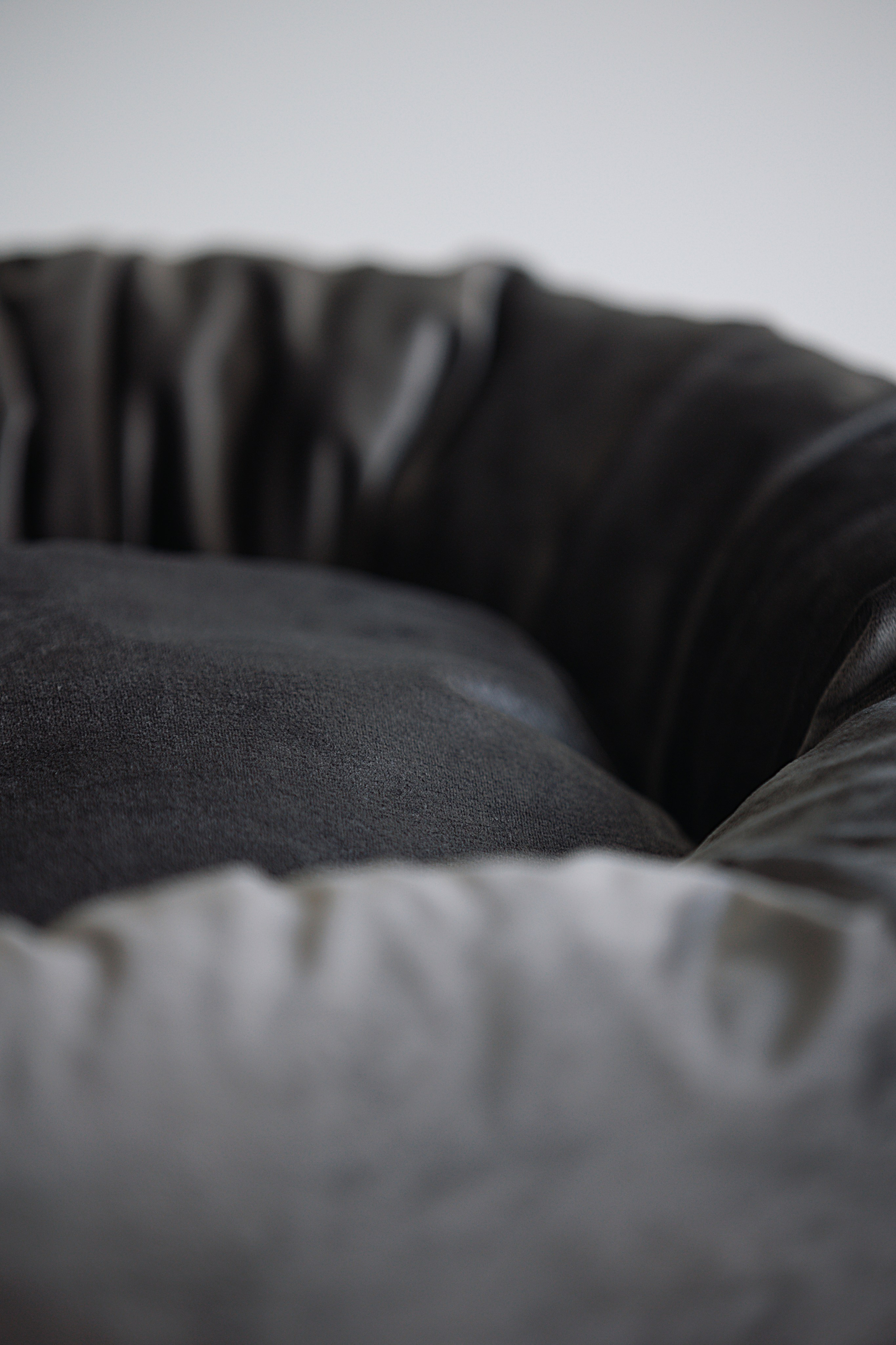 OH MY DOGA. Фотограф анималист Кристина Карпова, Москва