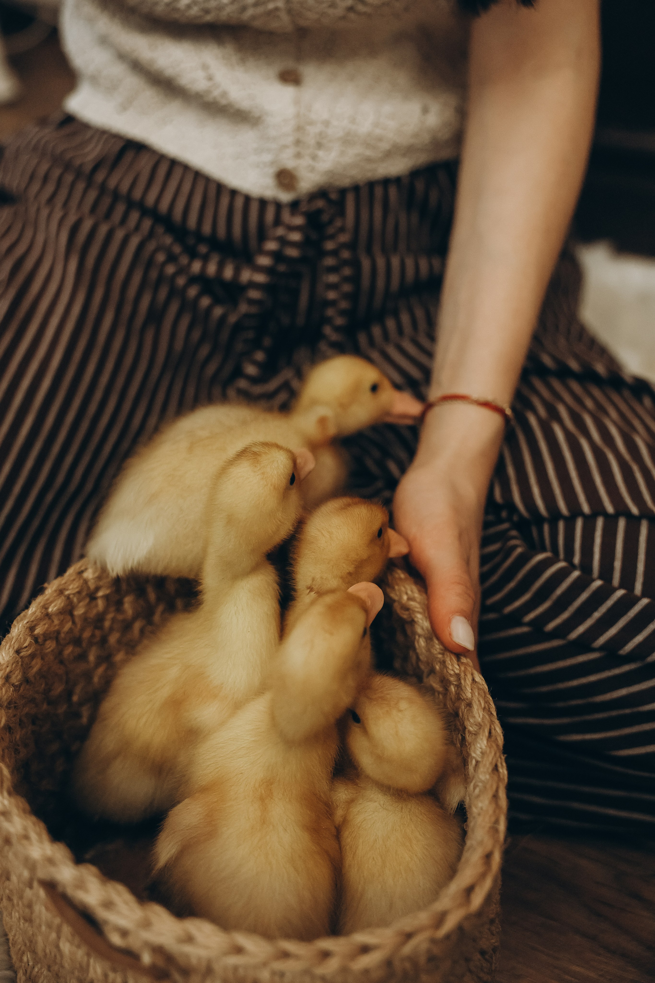 Утиная. Я Лена — семейный фотограф в стиле Лайф Москва и Подмосковья: Балашиха, Пушкино, Щелково, Домодедово, Дмитров. Я за эмоции и любовь