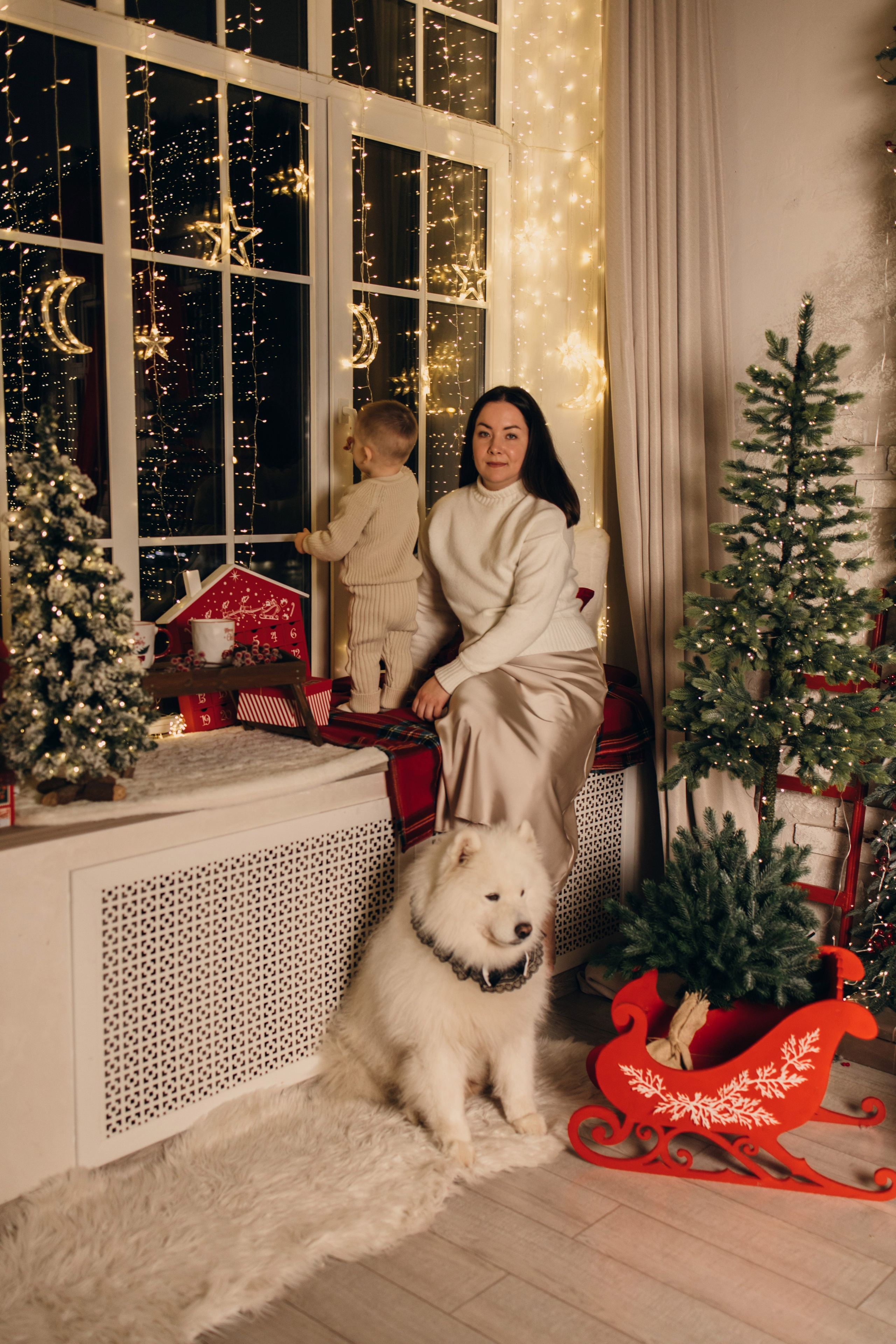 Новогодний самоед. Коновалова Ольга | фотограф в Пензе и Заречном