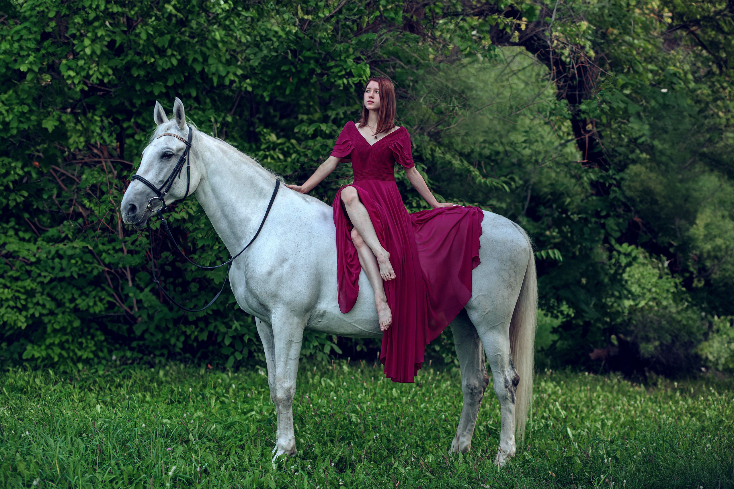 Красноярский ип-м. Конный фотограф в Красноярске — Любовь Похабова