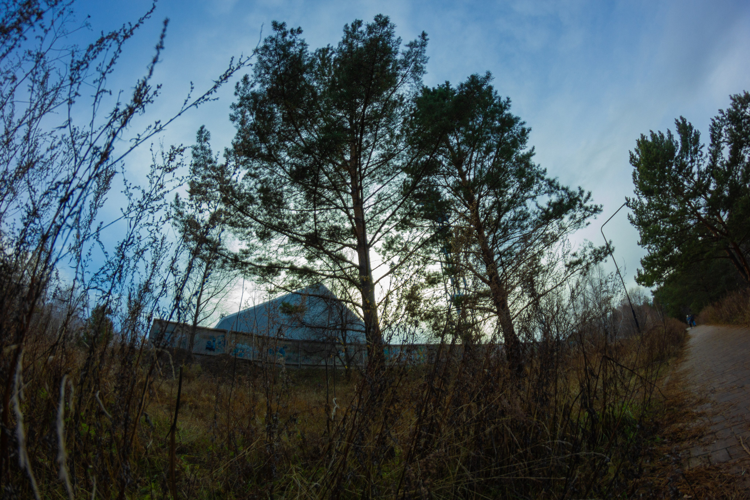04.11.2024 | Сосновоборск. Kuznetsov | Фотограф в Красноярске