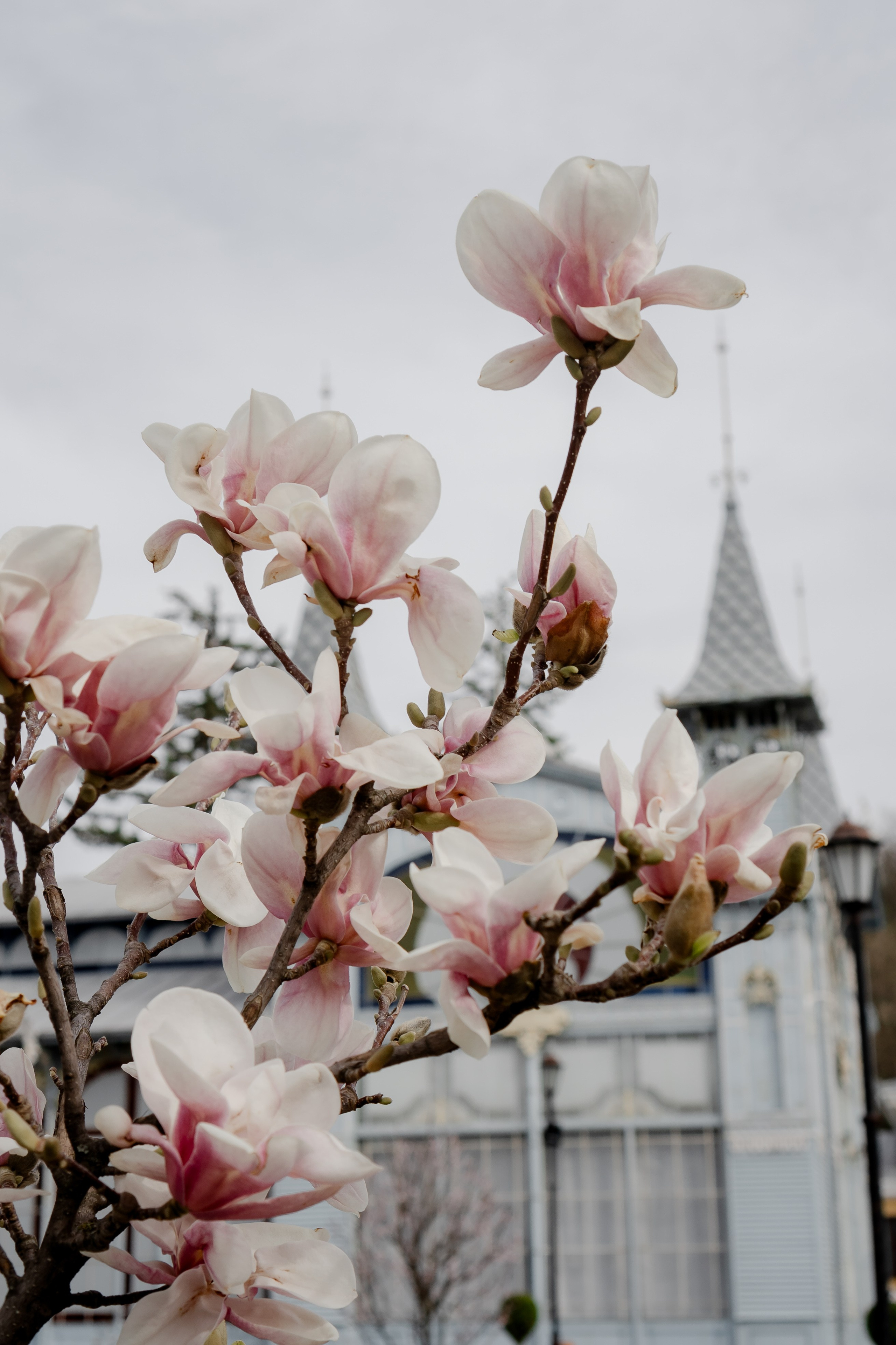 ПЯТИГОРСК. Профессиональный фотограф, Санкт-Петербург — Виктория Богомолова