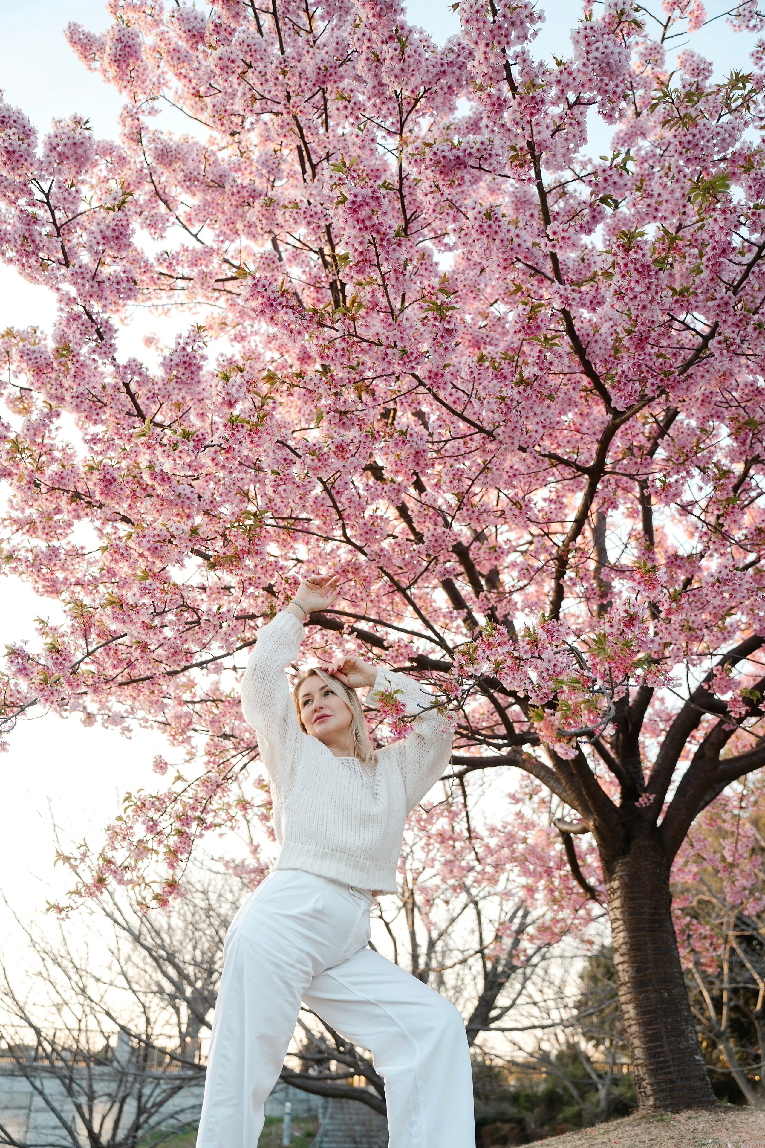Sakura. Фотограф Алина Диева Москва | Токио
