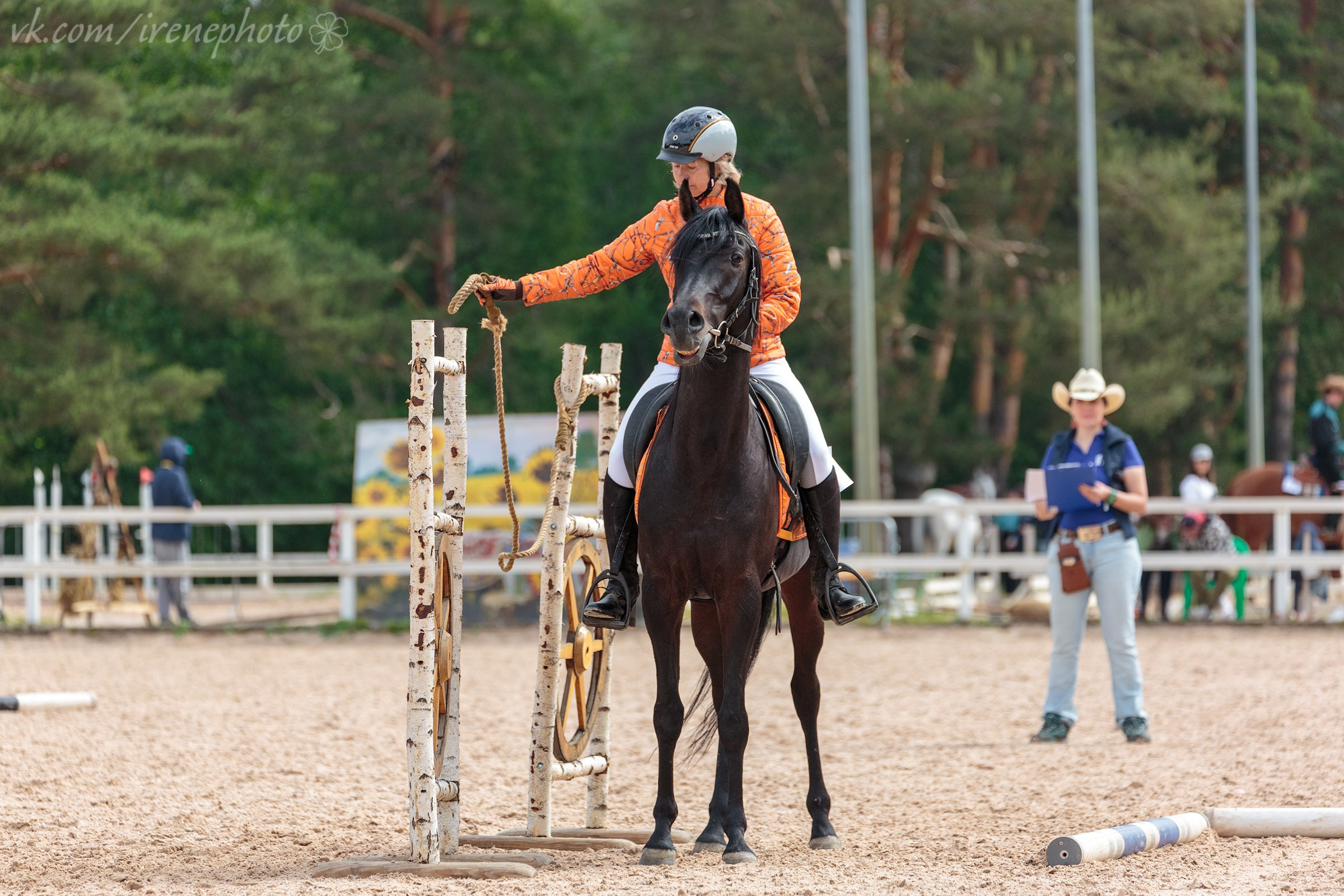 Иппосфера 2024. Irenephoto.ru