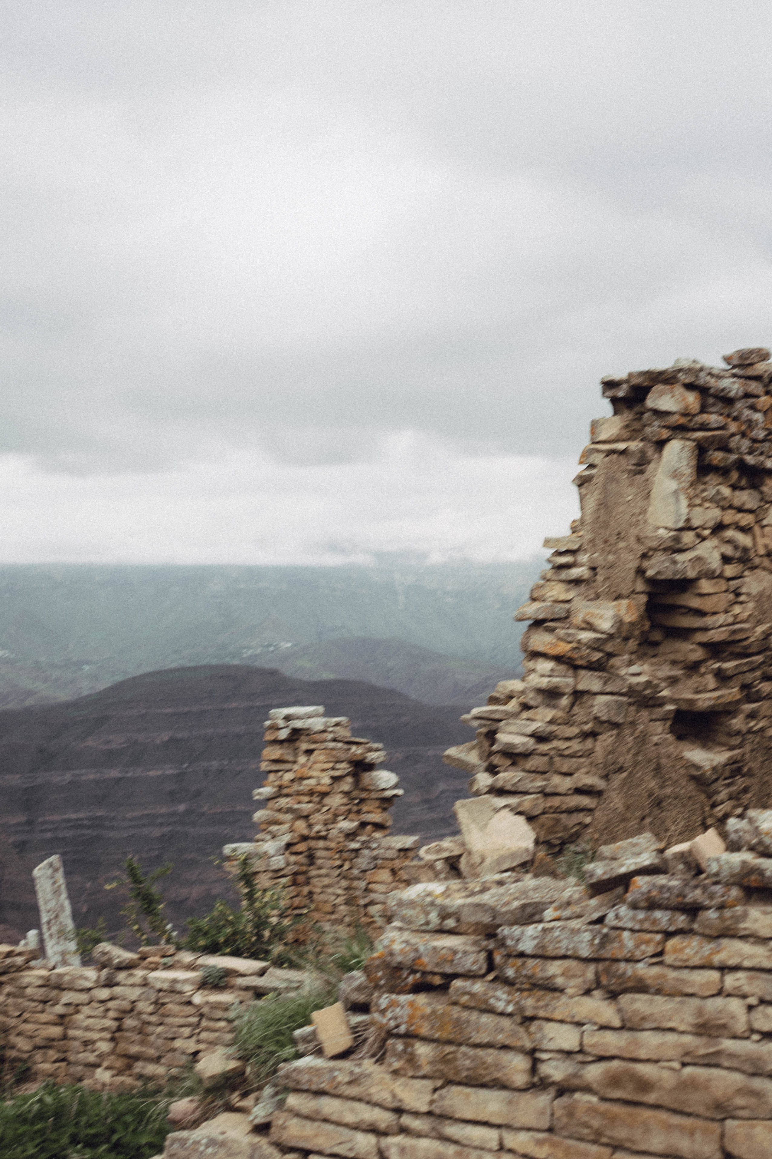 Кавказ. Профессиональный фотограф, Санкт-Петербург — Виктория Богомолова