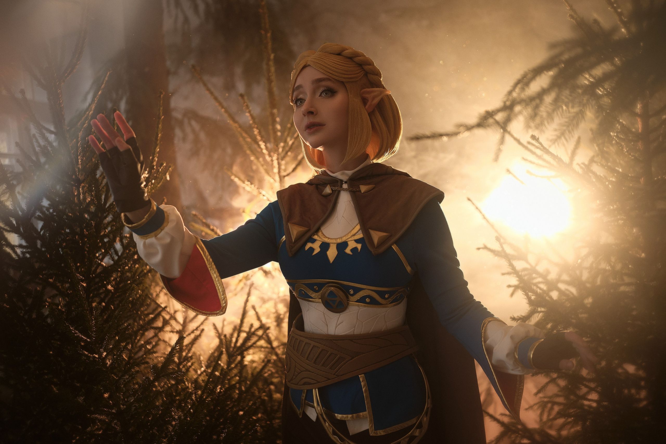 The Legend of Zelda: Tears of the Kingdom. Косплей фотограф Christa Photo