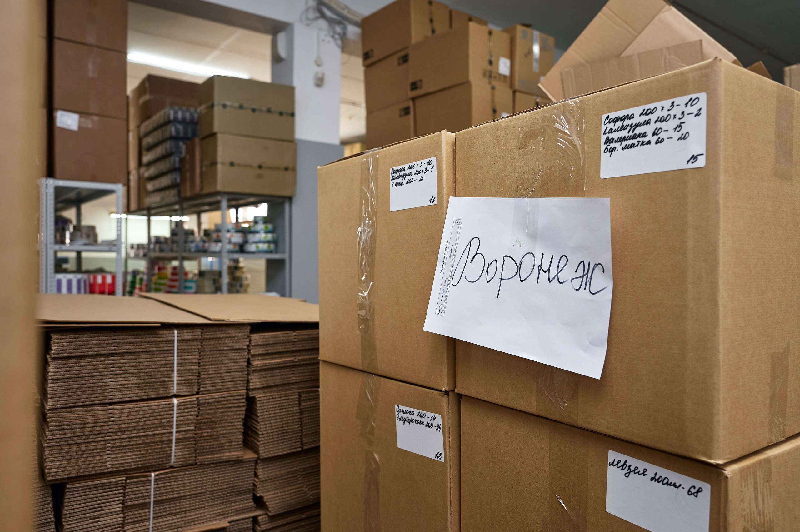 Алтайский изготовитель. Фотограф Опыт Качество Скорость Горный Алтай Барнаул