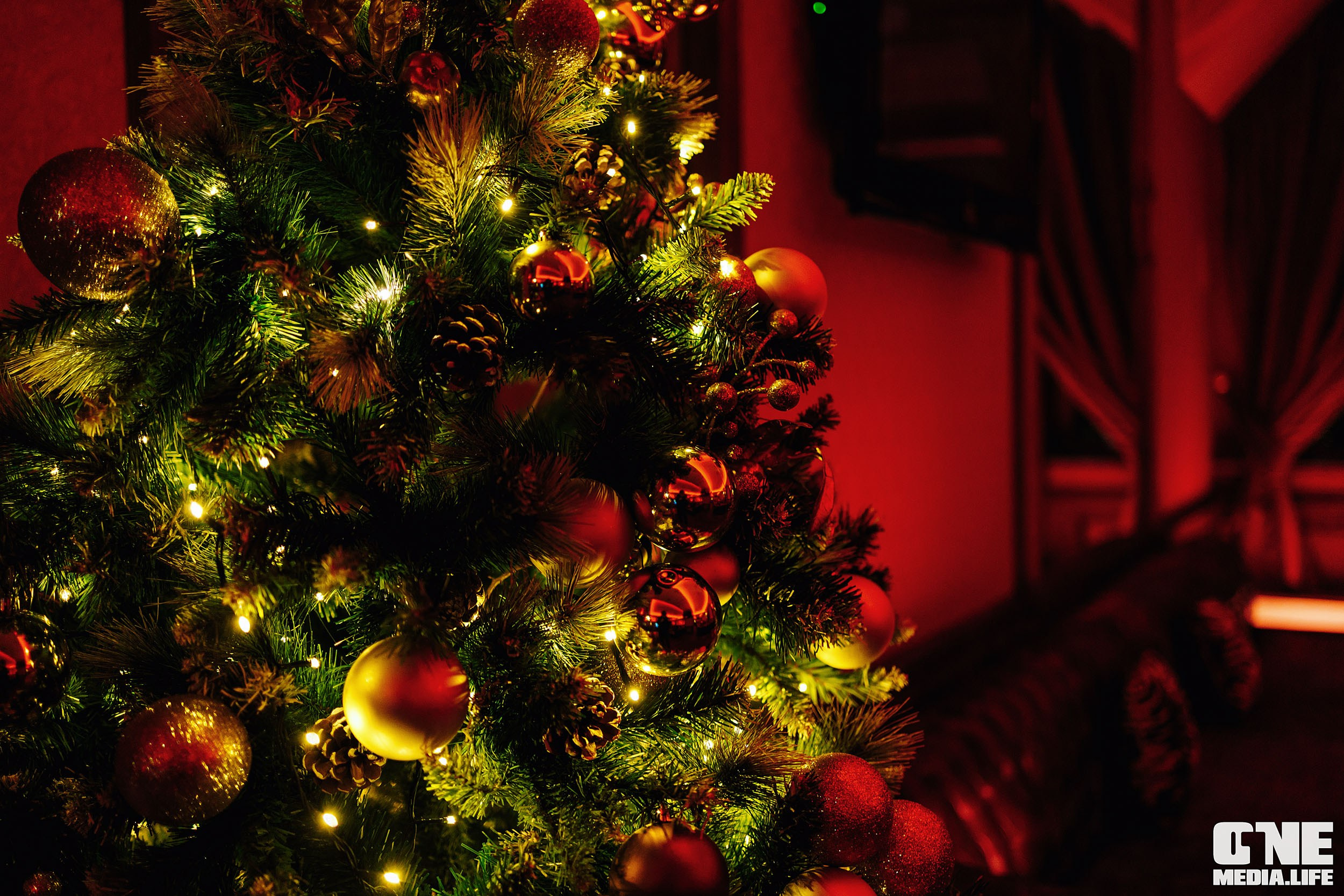 Фоторепортаж из РК Планета. One Media Life: фоторепортажи, фотоотчеты с мероприятий и заведений