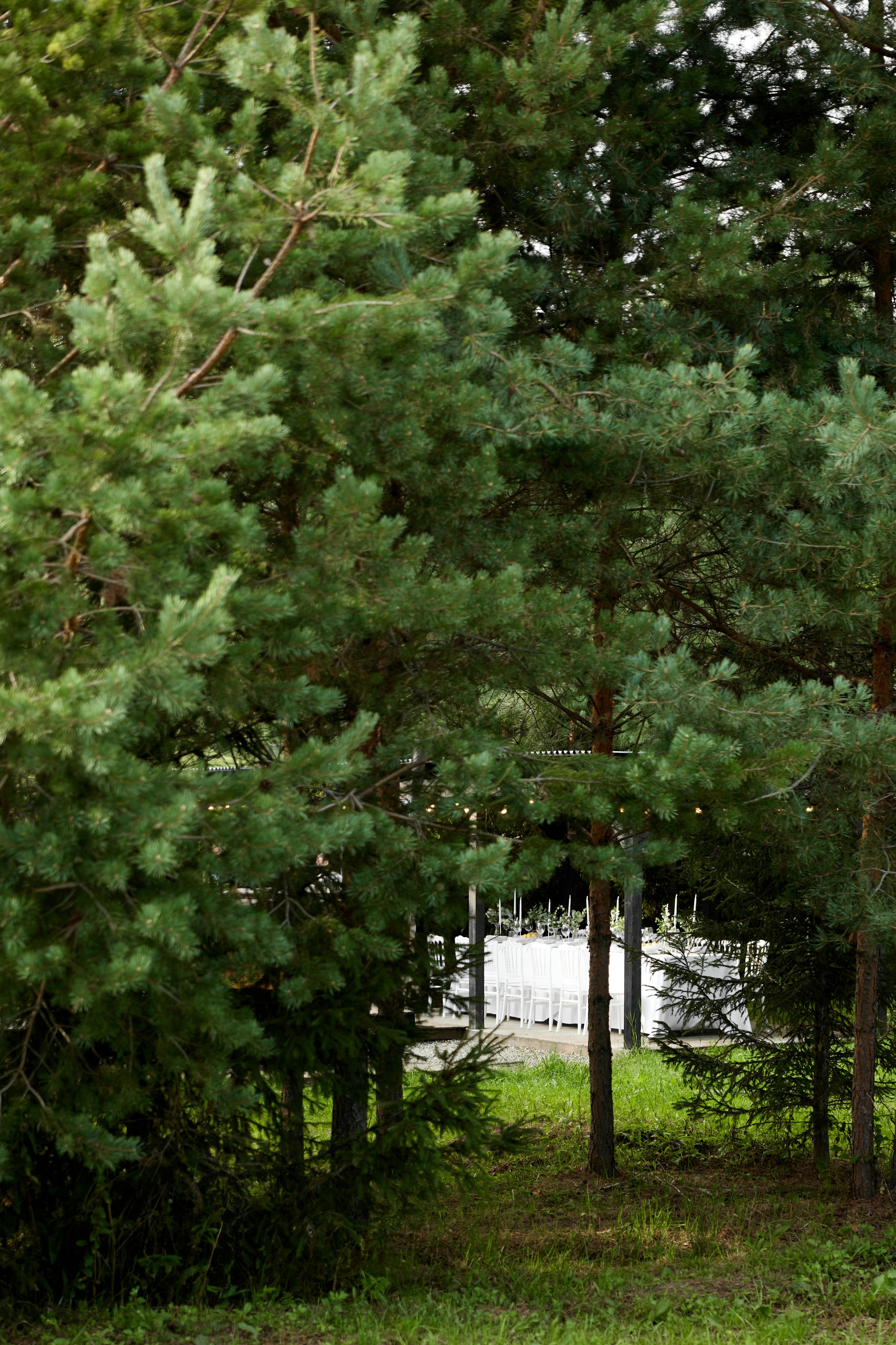 Свадебный фотограф Киров. Александр Прозоров. Александр Прозоров фотограф в Кирове