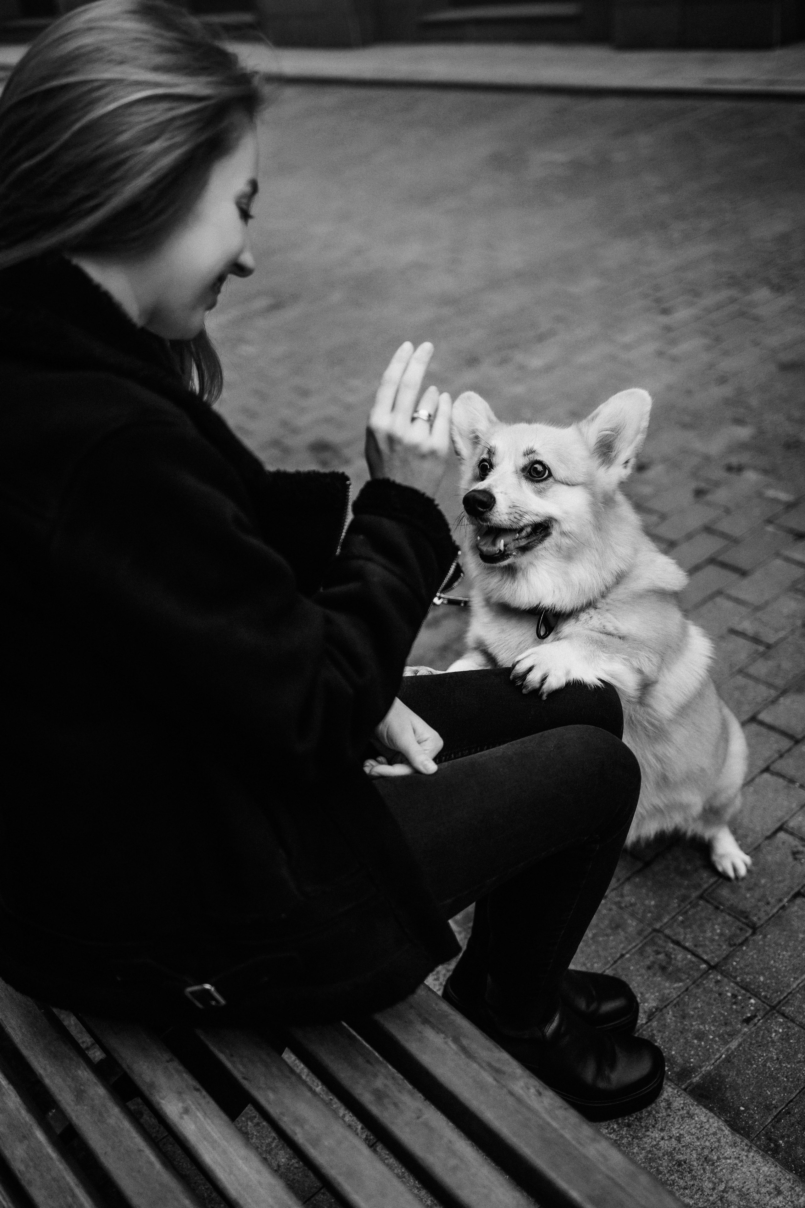 Вера, Саша и Муна. Фотограф-анималист Елена Радченко, Москва