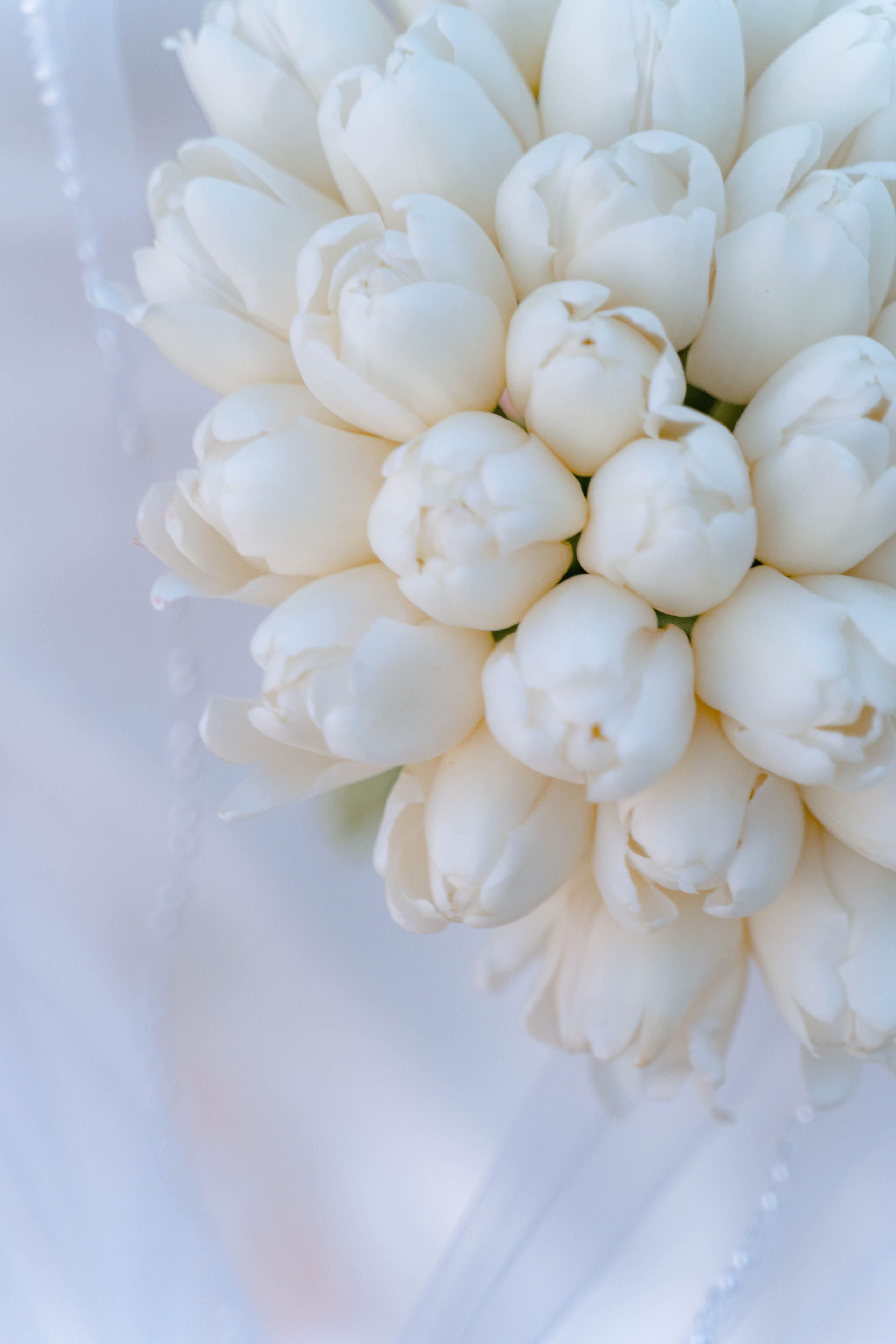 Wedding photo Sarah engagement