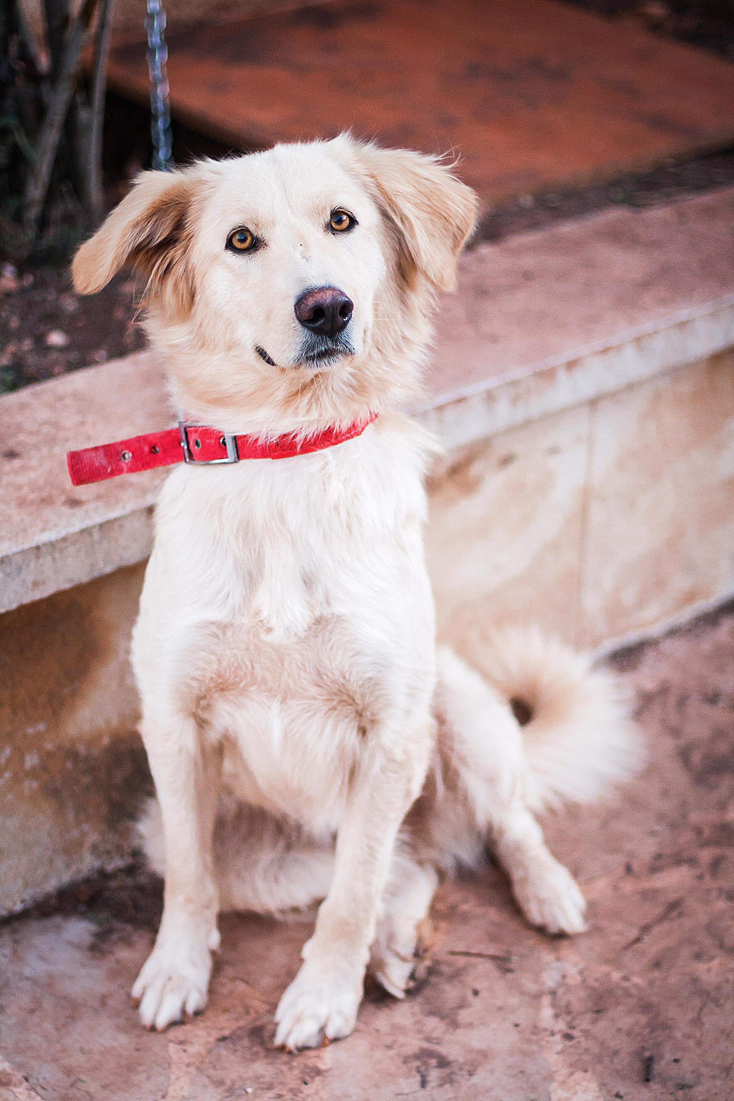 Путешествия. Балетный фотограф в Москве Евгения Сухарева