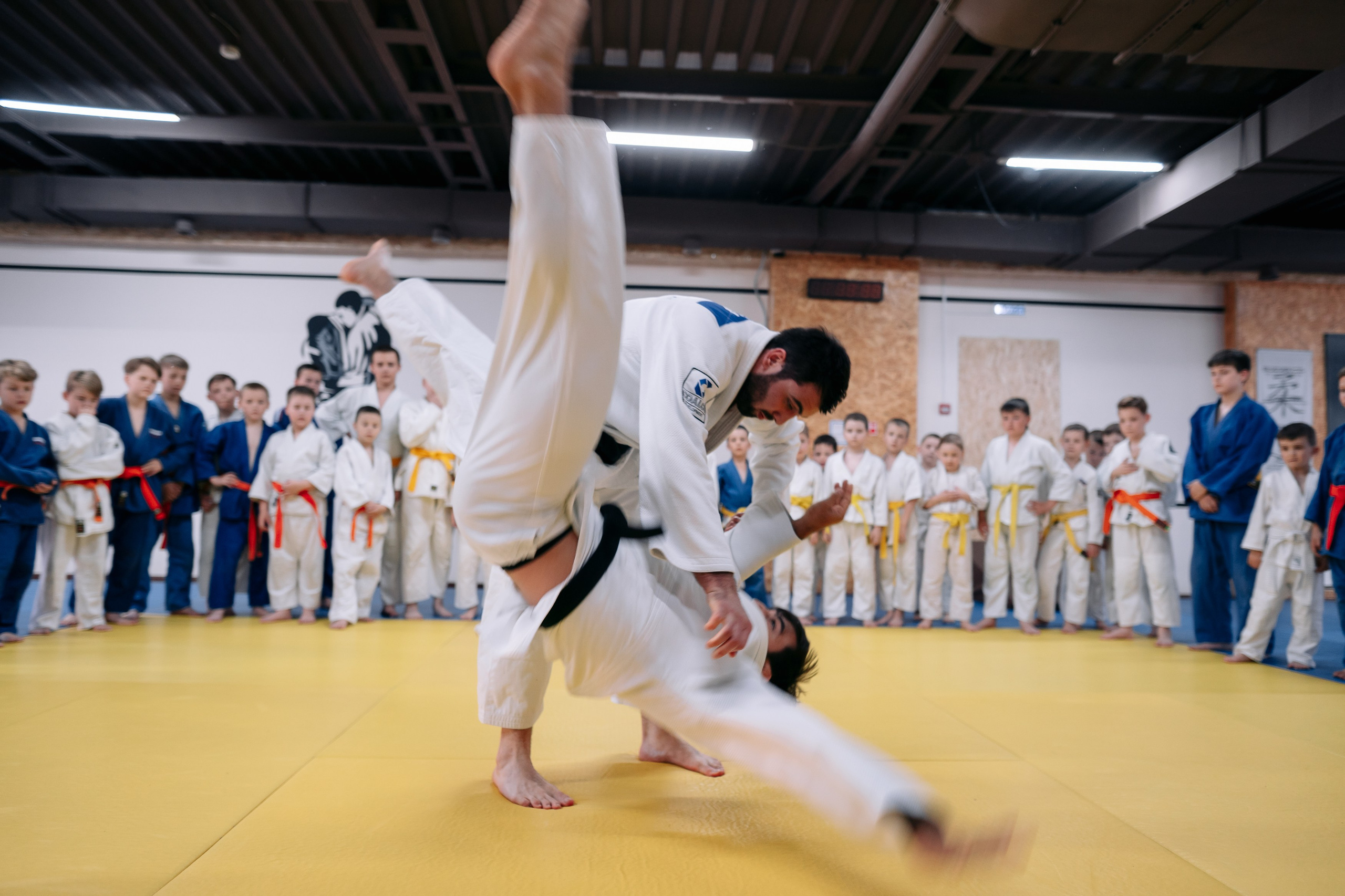 Дзюдо. Репортажный фотограф Красноярск Алекс Чампакхам