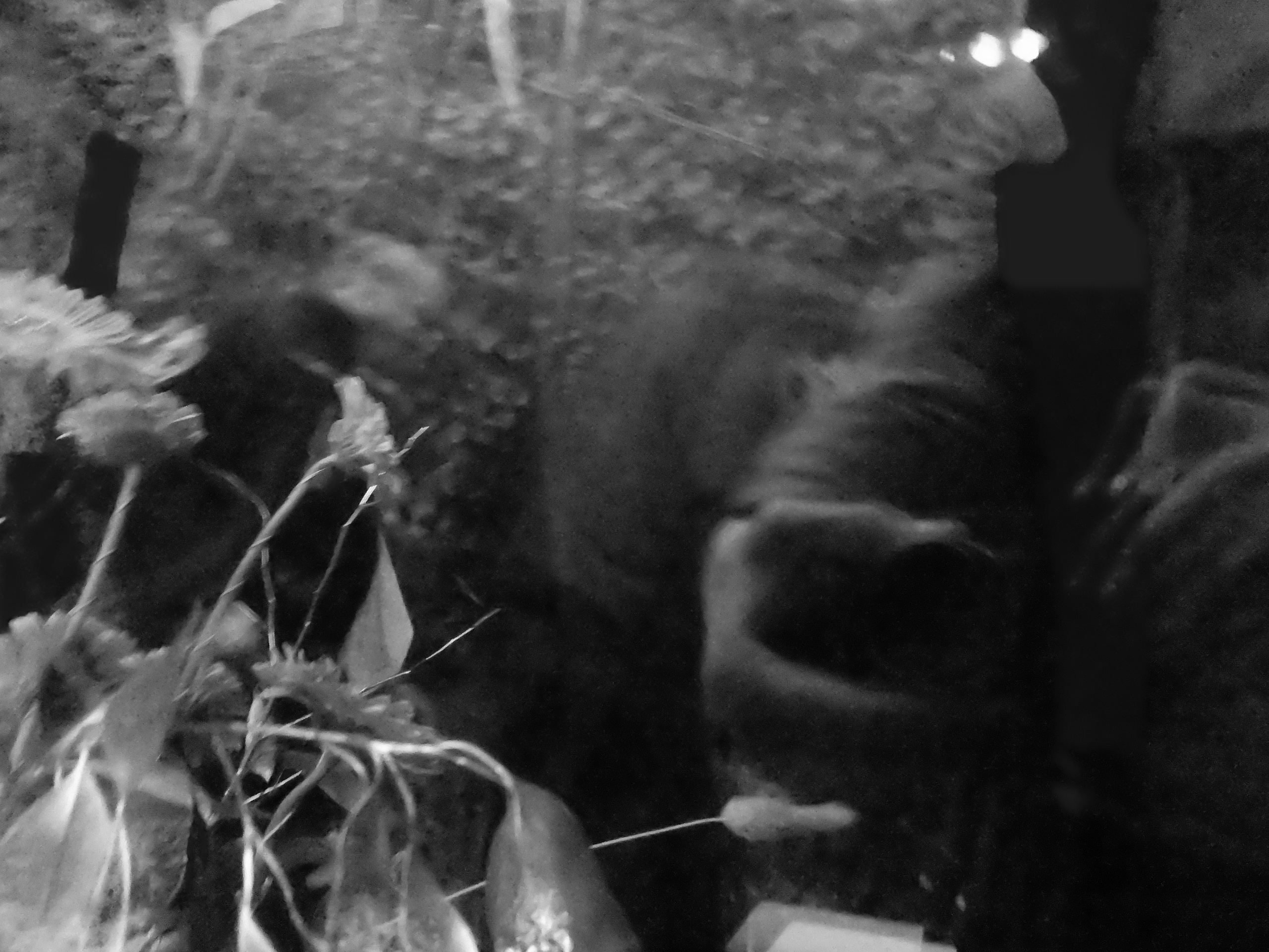 — Provoke Party. Kirillov Egor