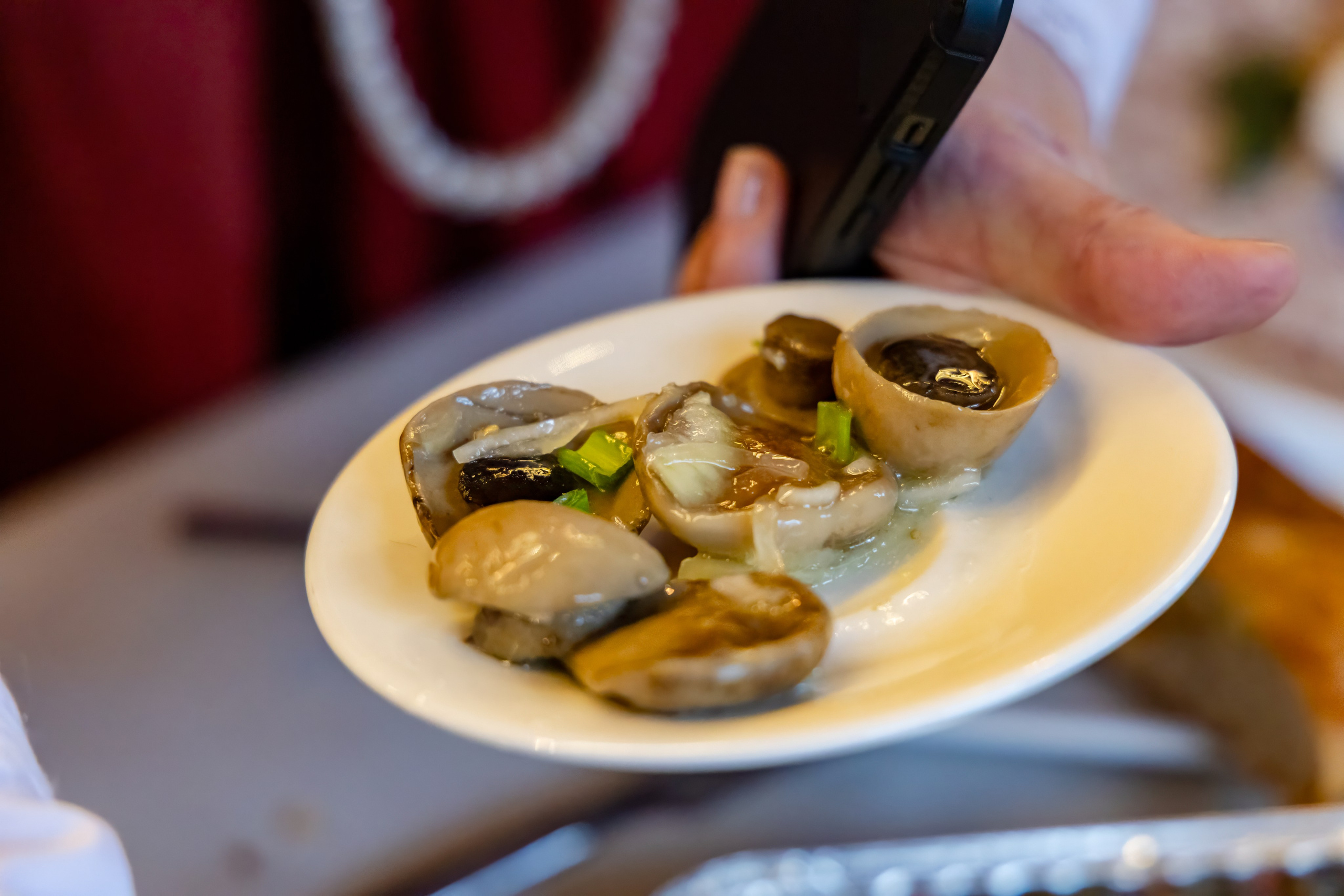 Ярмарка-фестиваль «Я-Я, КЕМСКА ВОЛОСТЬ!» (2024 г.). Аэросъемка. Фото и Видео в Карелии. Алексей Фрилунд