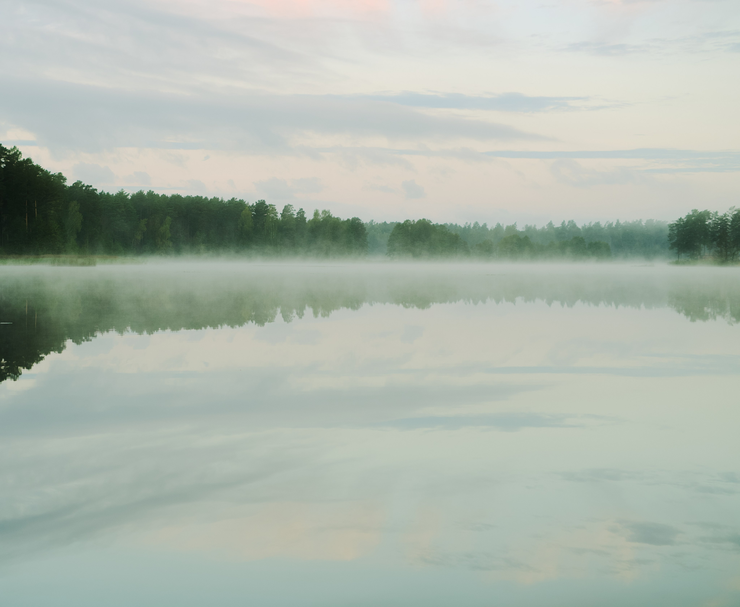 Print it. Visual art from artist Anna Butyrskaia for families and individuals