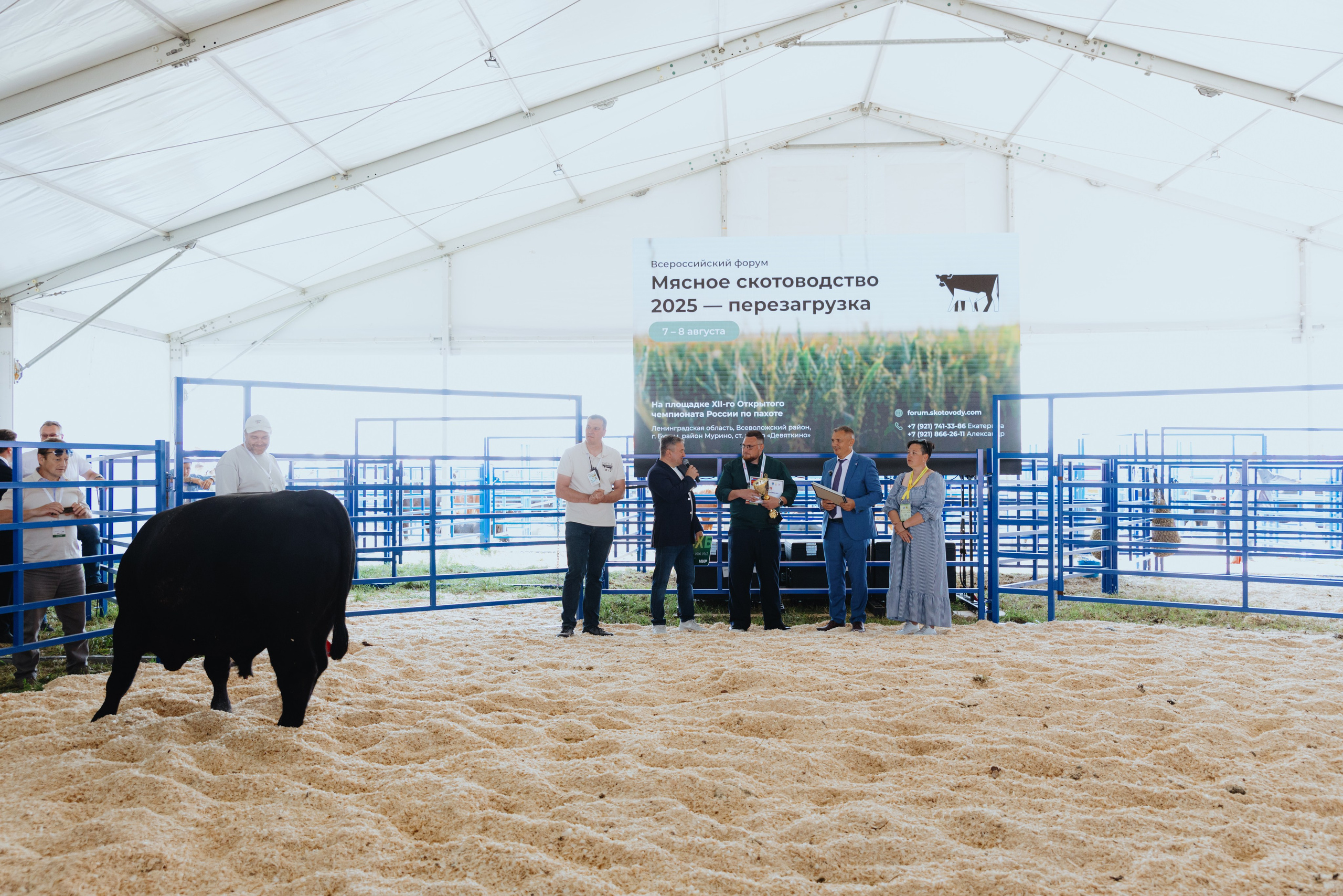 Россельхозбанк. Фотограф в Москве и Санкт-Петербурге Дарина
