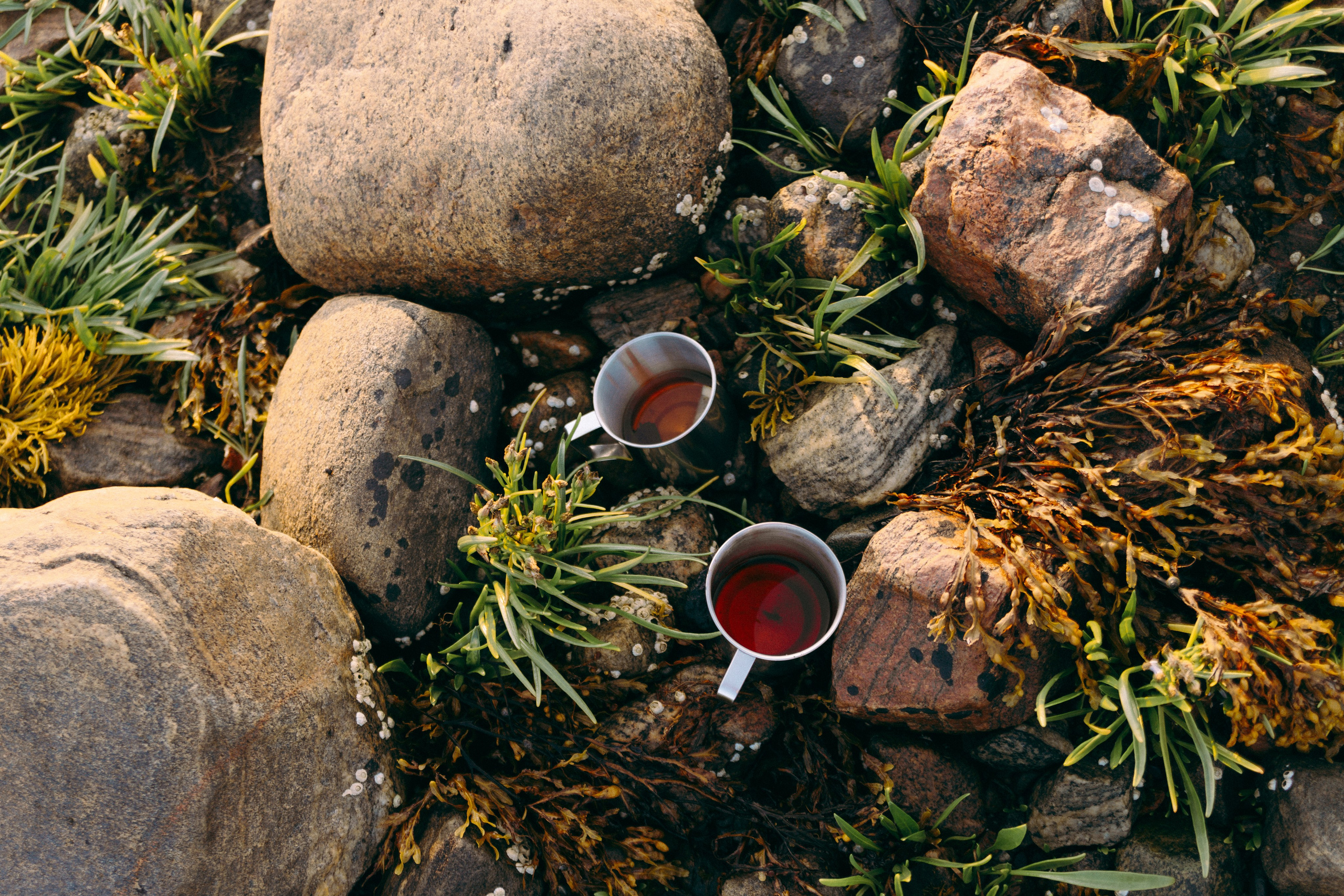 Белое море. Фотограф Санкт-Петербург Макарова Дарья
