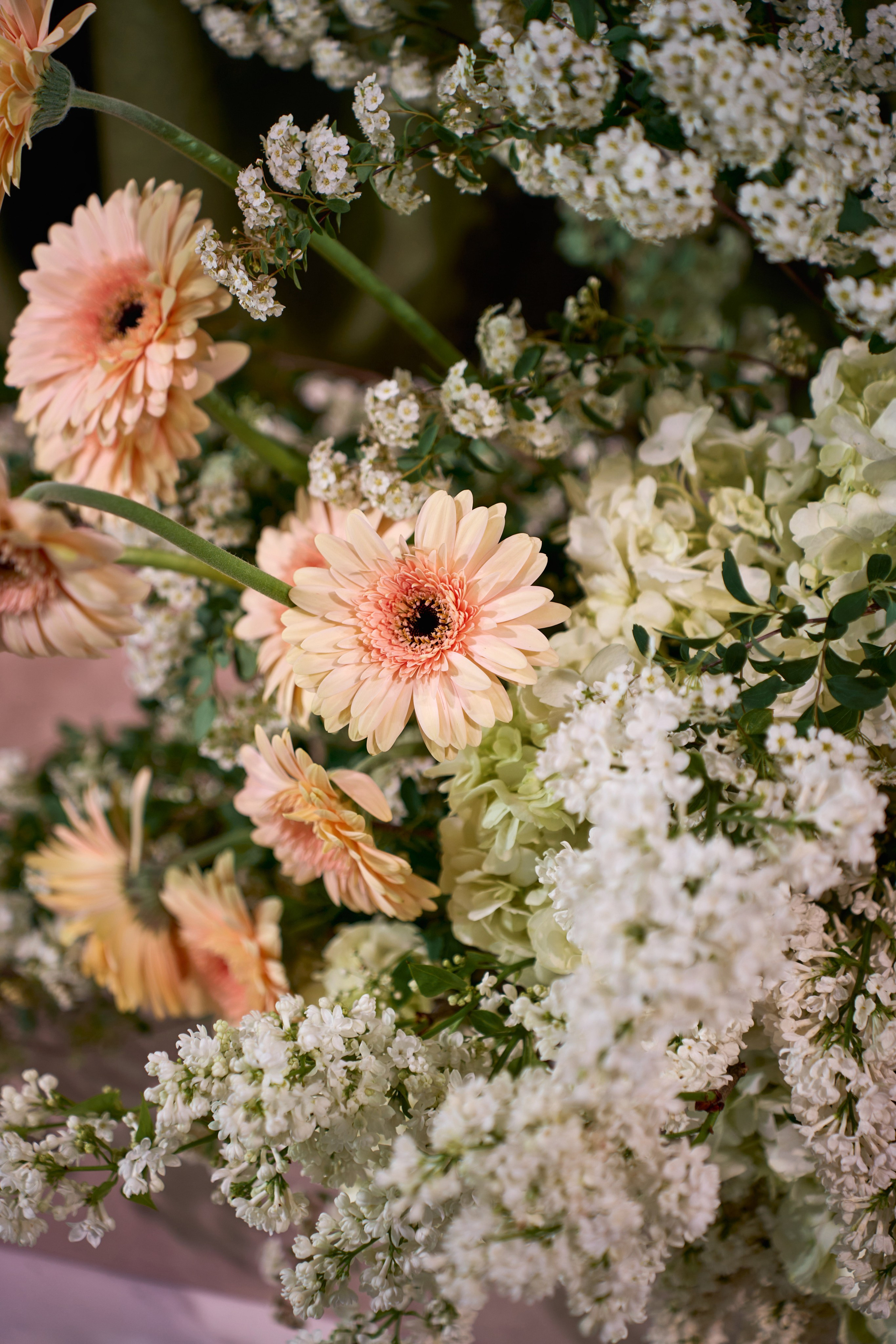 Лучшие свадебные фотографы Краснодара ТВИНС СТУДИО в Zagarro на Армянской свадьбе!. ТВИНС СТУДИО — лучшие свадебные фотографы и видеографы в Краснодаре
