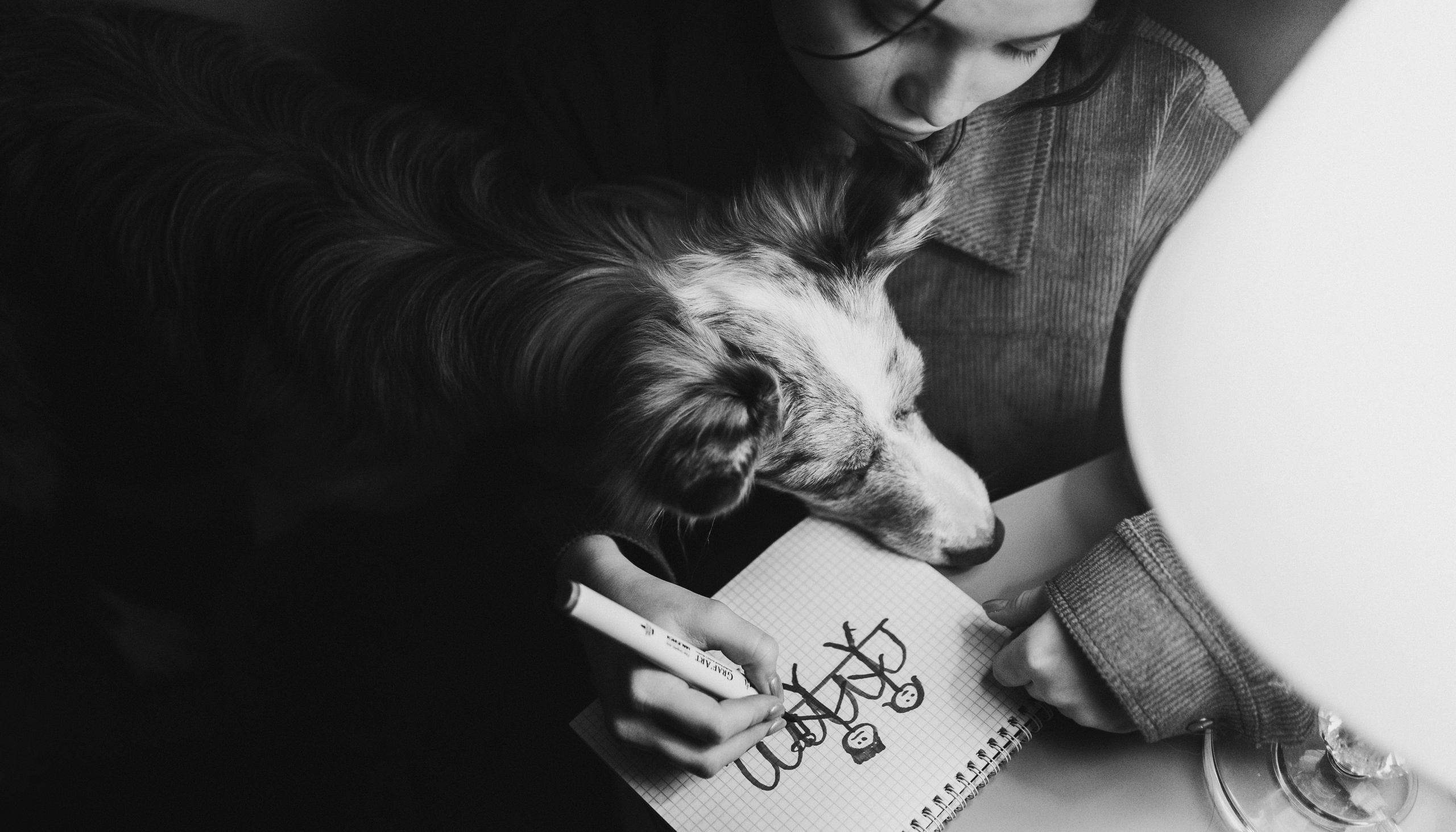 Аня и Дэймон. Фотограф-анималист Богданова Полина