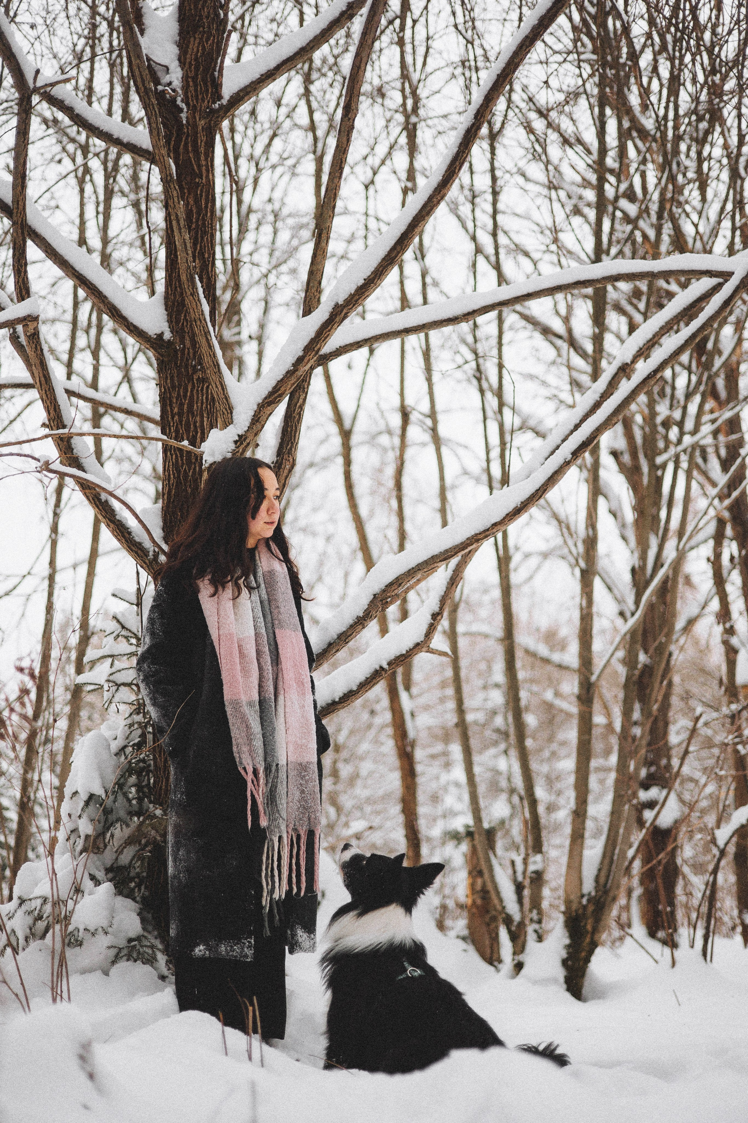 Алина и Найт. Фотограф-анималист Богданова Полина
