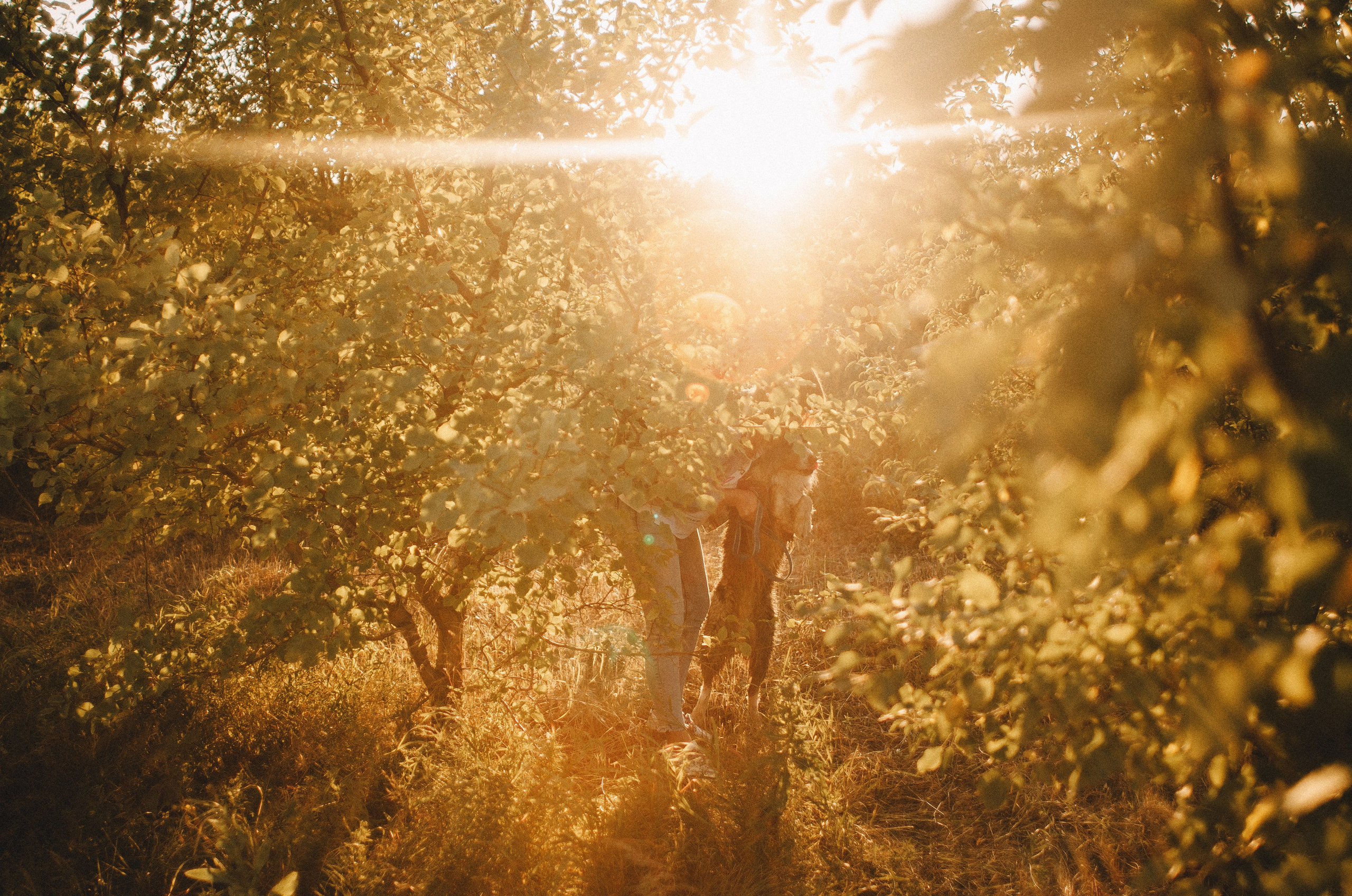 Таня и Бриллиант. Фотограф-анималист Богданова Полина