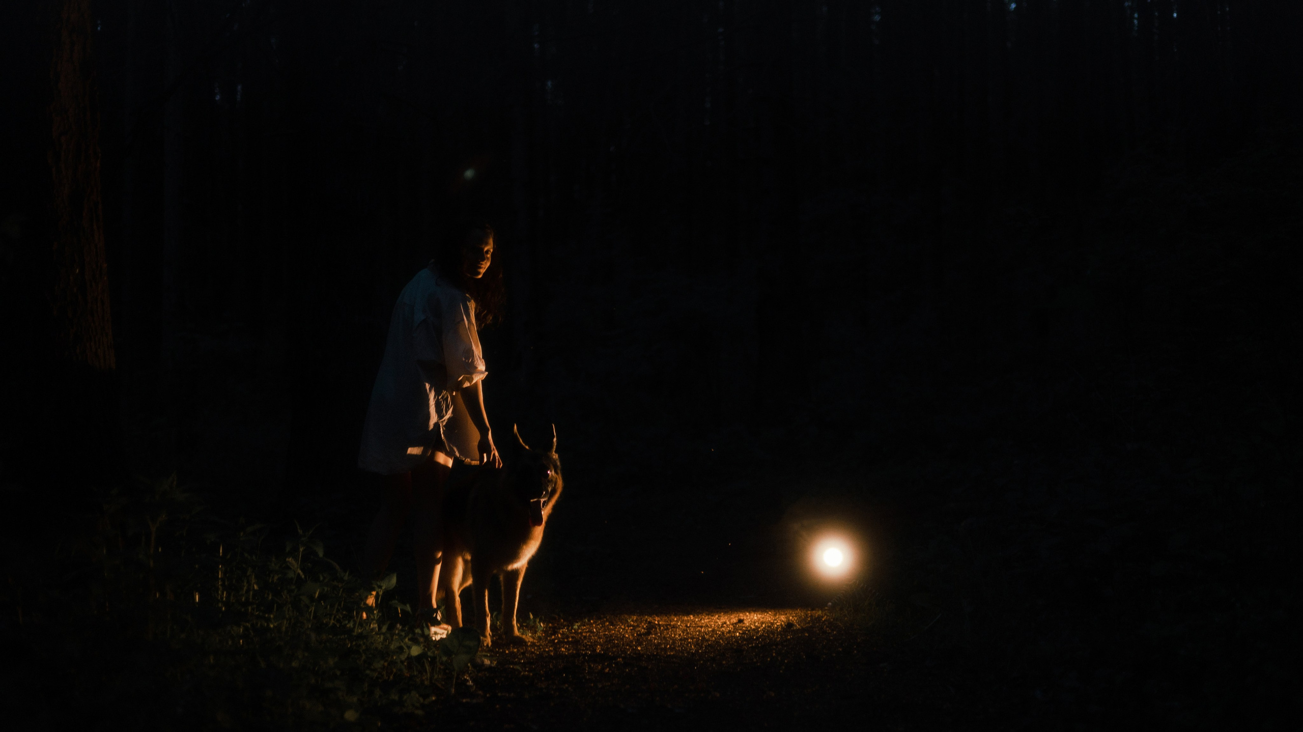 Настя, Шуня, Милка и Тигуан. Фотограф-анималист Богданова Полина