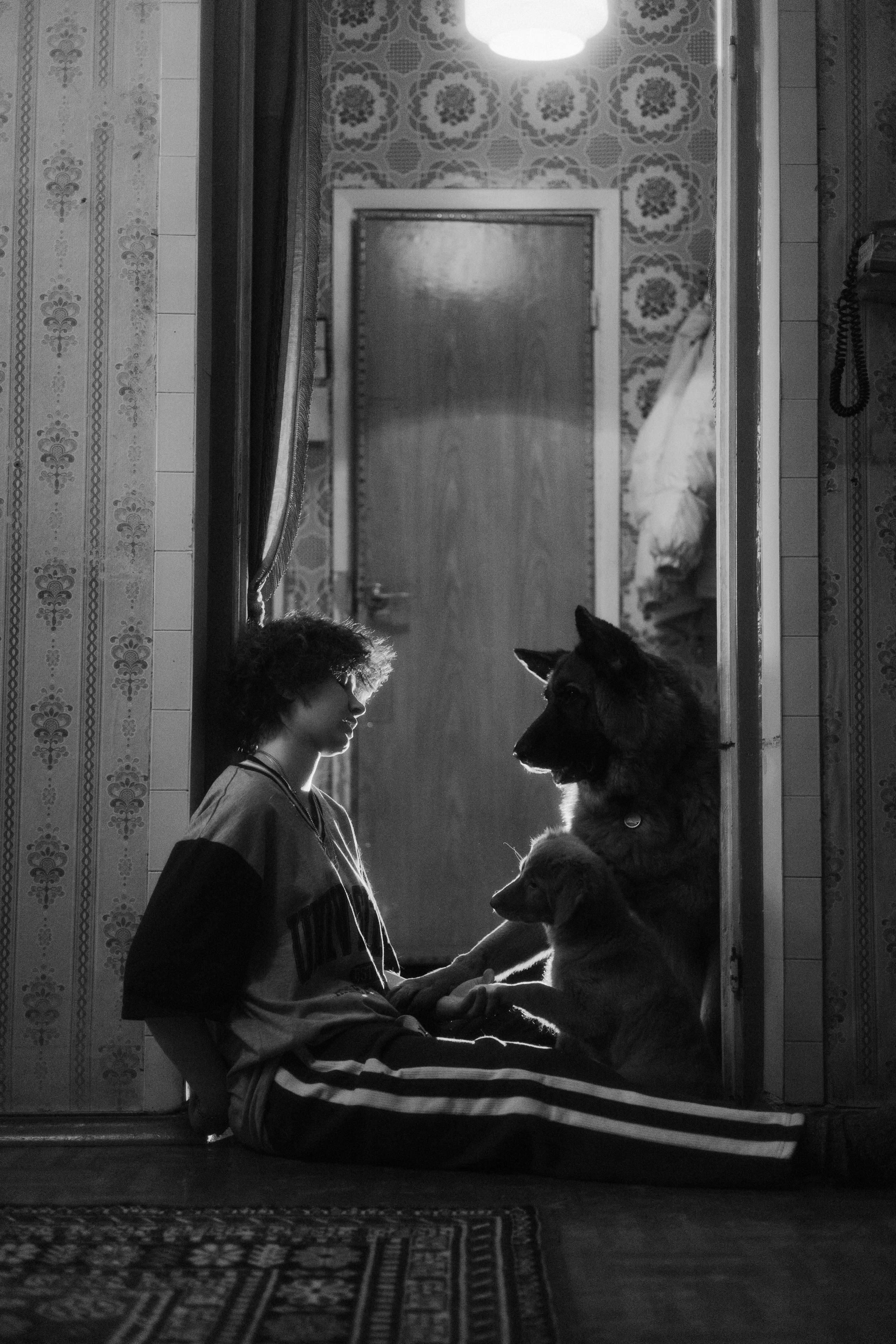 Лера, Реджи и Ральф. Фотограф-анималист Богданова Полина