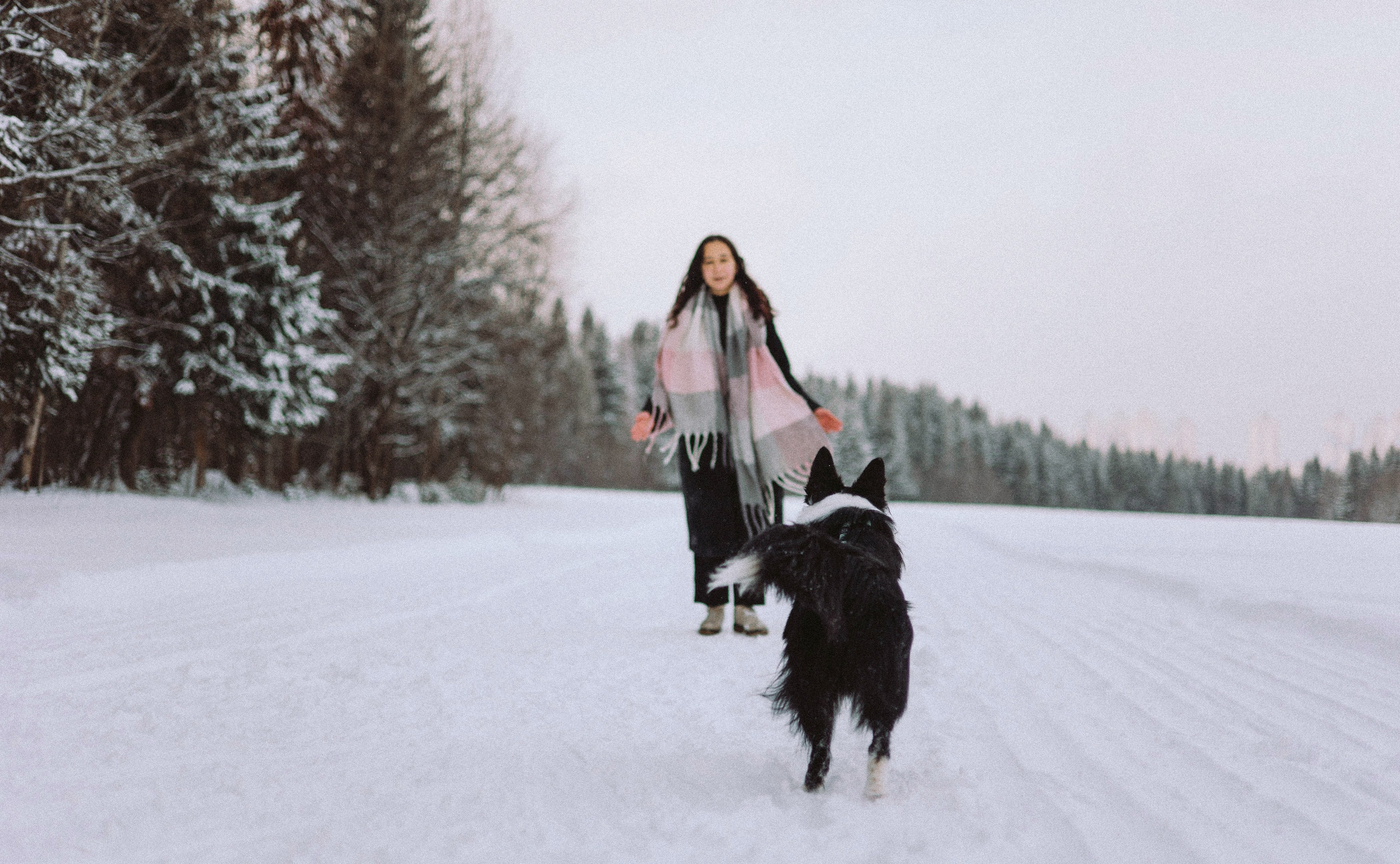 Алина и Найт. Фотограф-анималист Богданова Полина