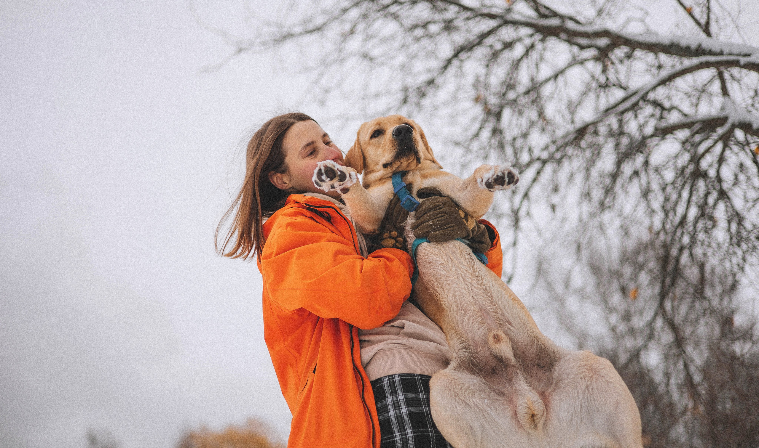 Маргарита и Варди. Фотограф-анималист Богданова Полина