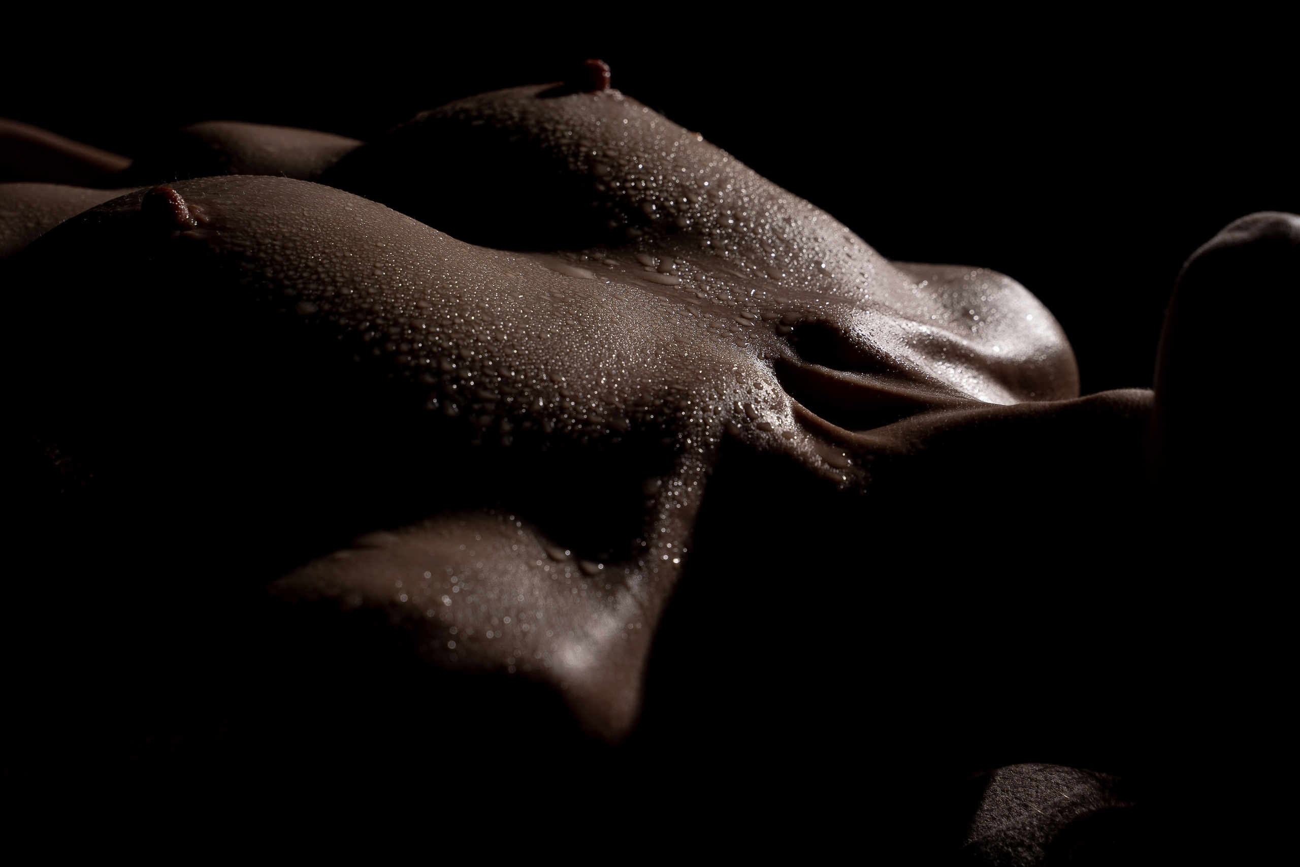 Арт-ню. Арт-ню Н.Новгород/Москва