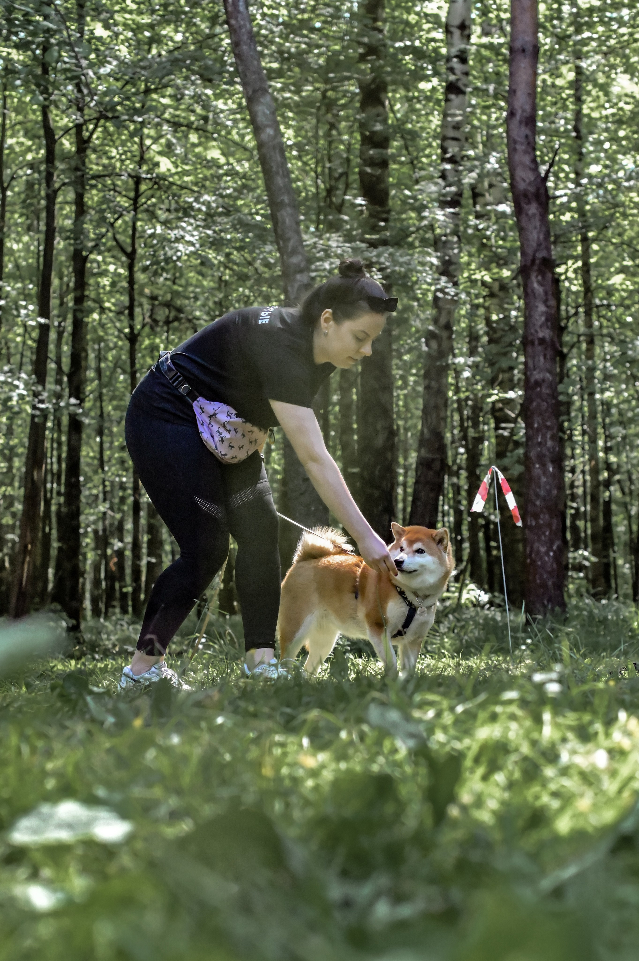 Кинологические соревнования. Семейный и репортажный фотограф в Москве Анастасия Трубкина