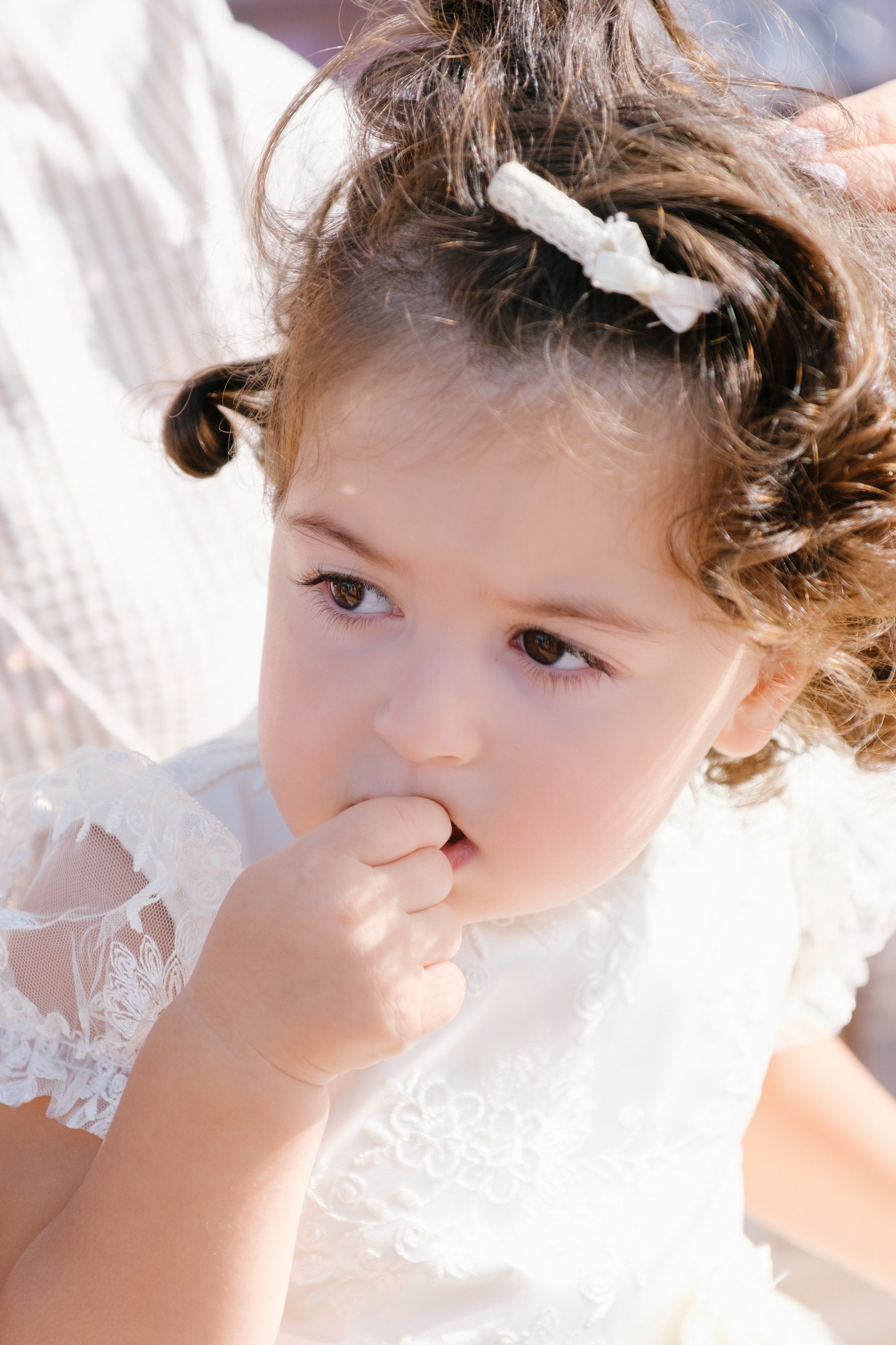 Фестиваль чувств. Свадебный Видеограф Фотограф в Сочи