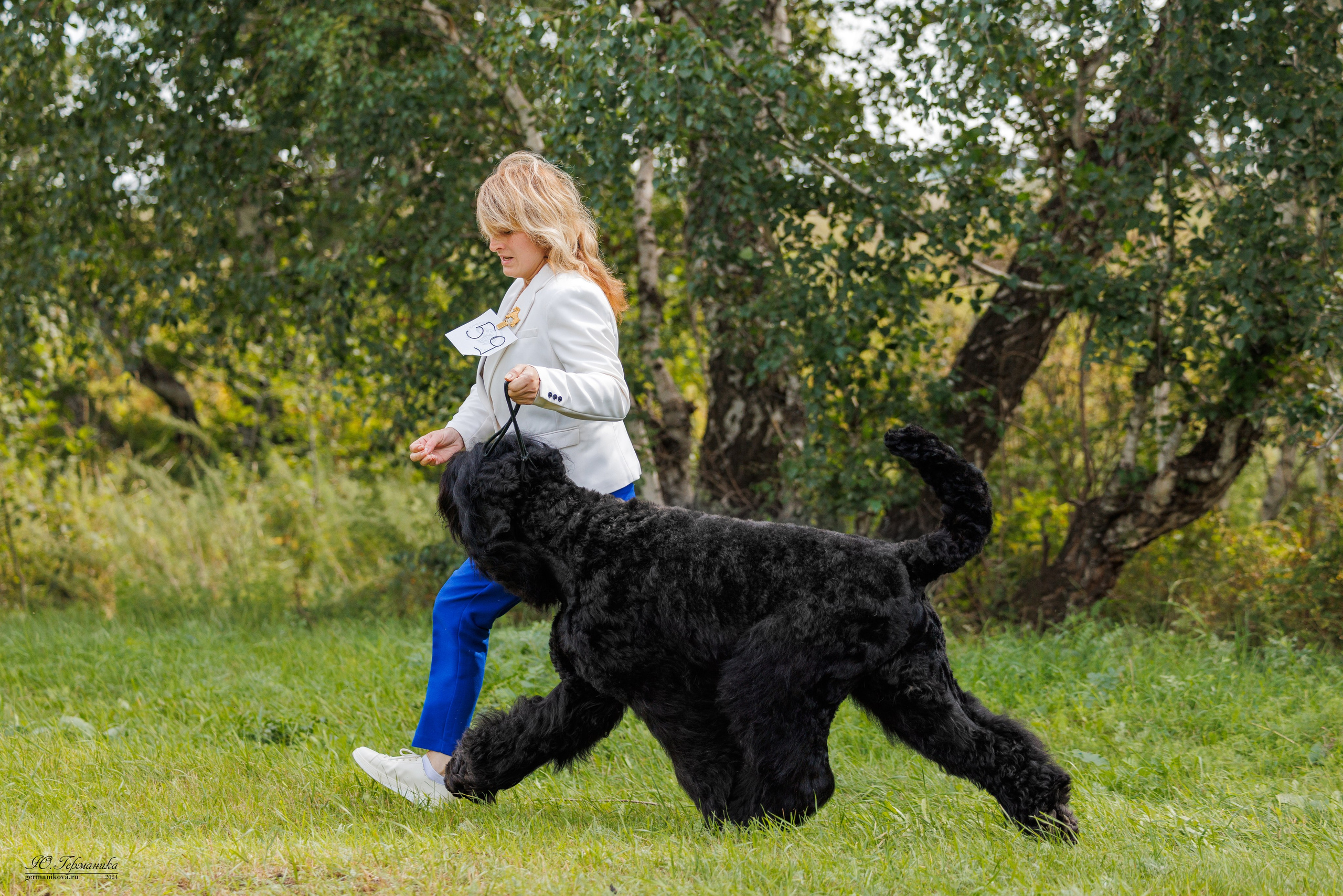 Астана 2хCACIB 17-18.08.2024. Фотограф-анималист Юлия Германика