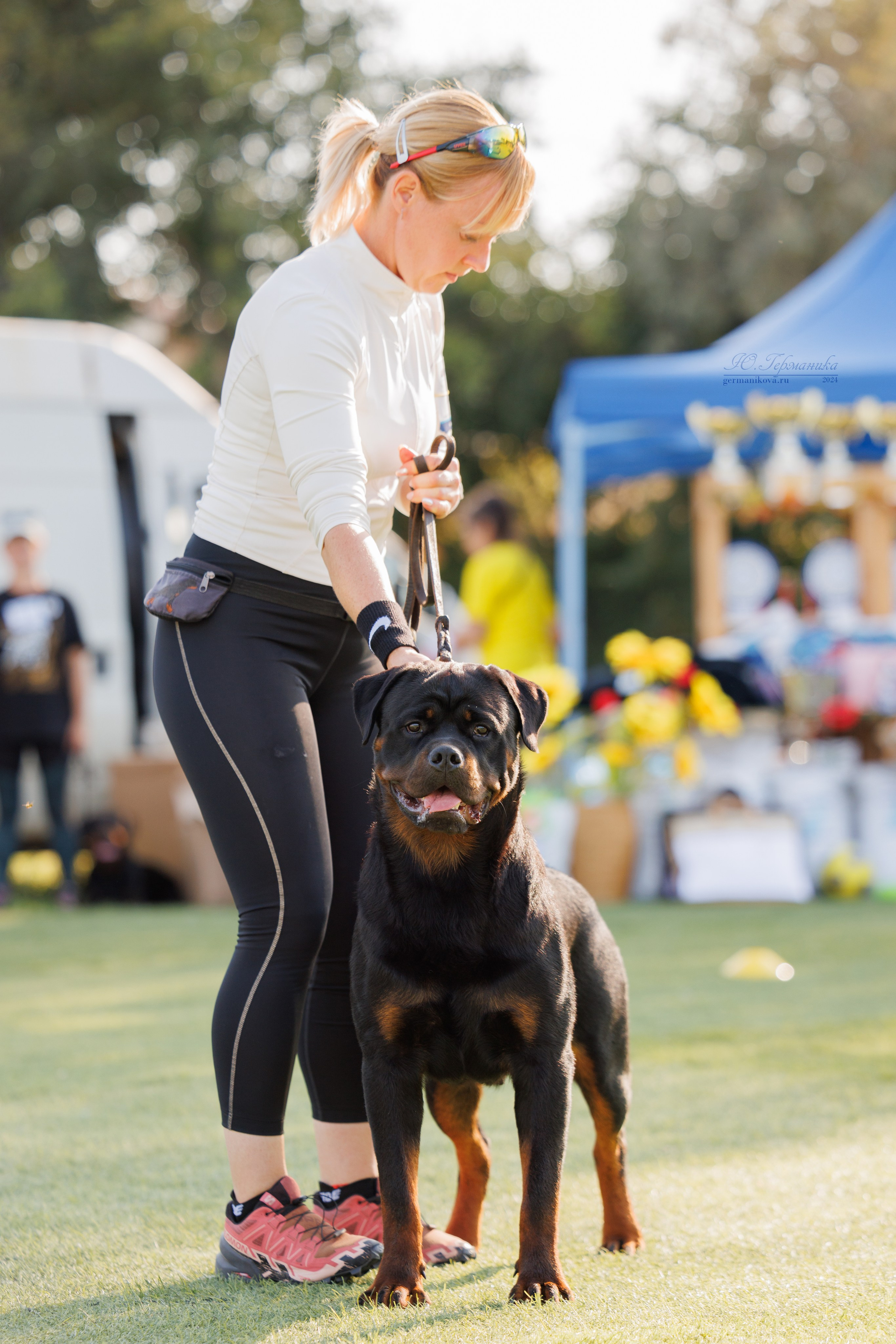 Анапа ротвейлеры 14-15.09.2024. Фотограф-анималист Юлия Германика