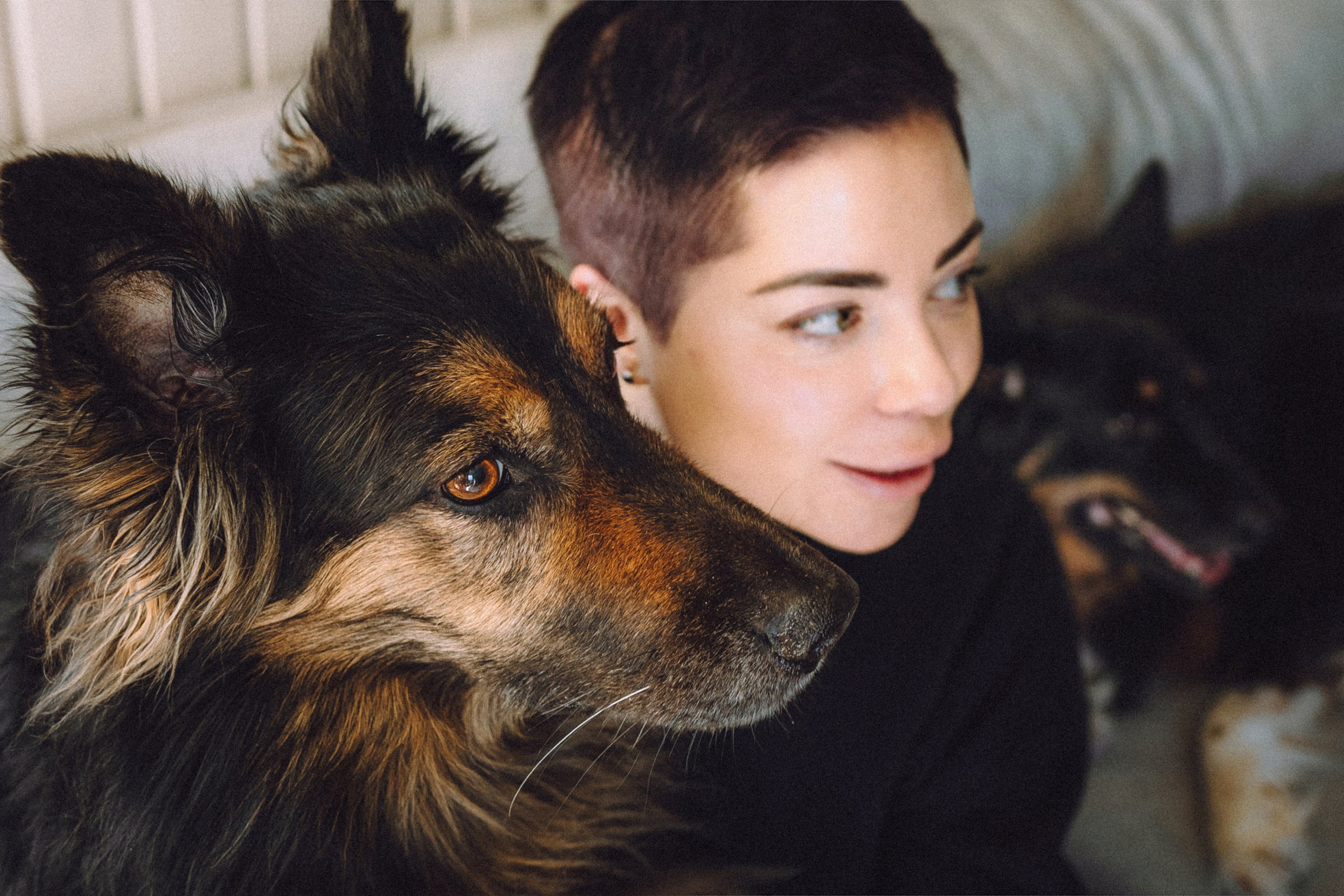 Плюш, Айса и их семья