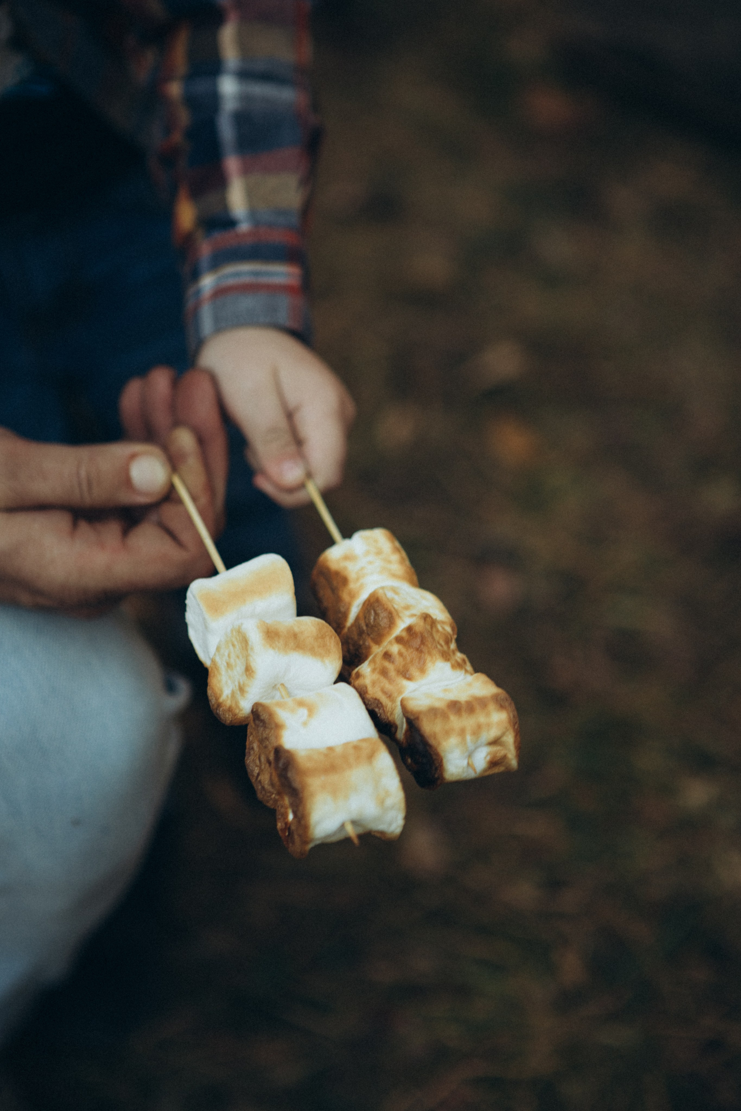 Лес. Семейный и репортажный фотограф в Орле