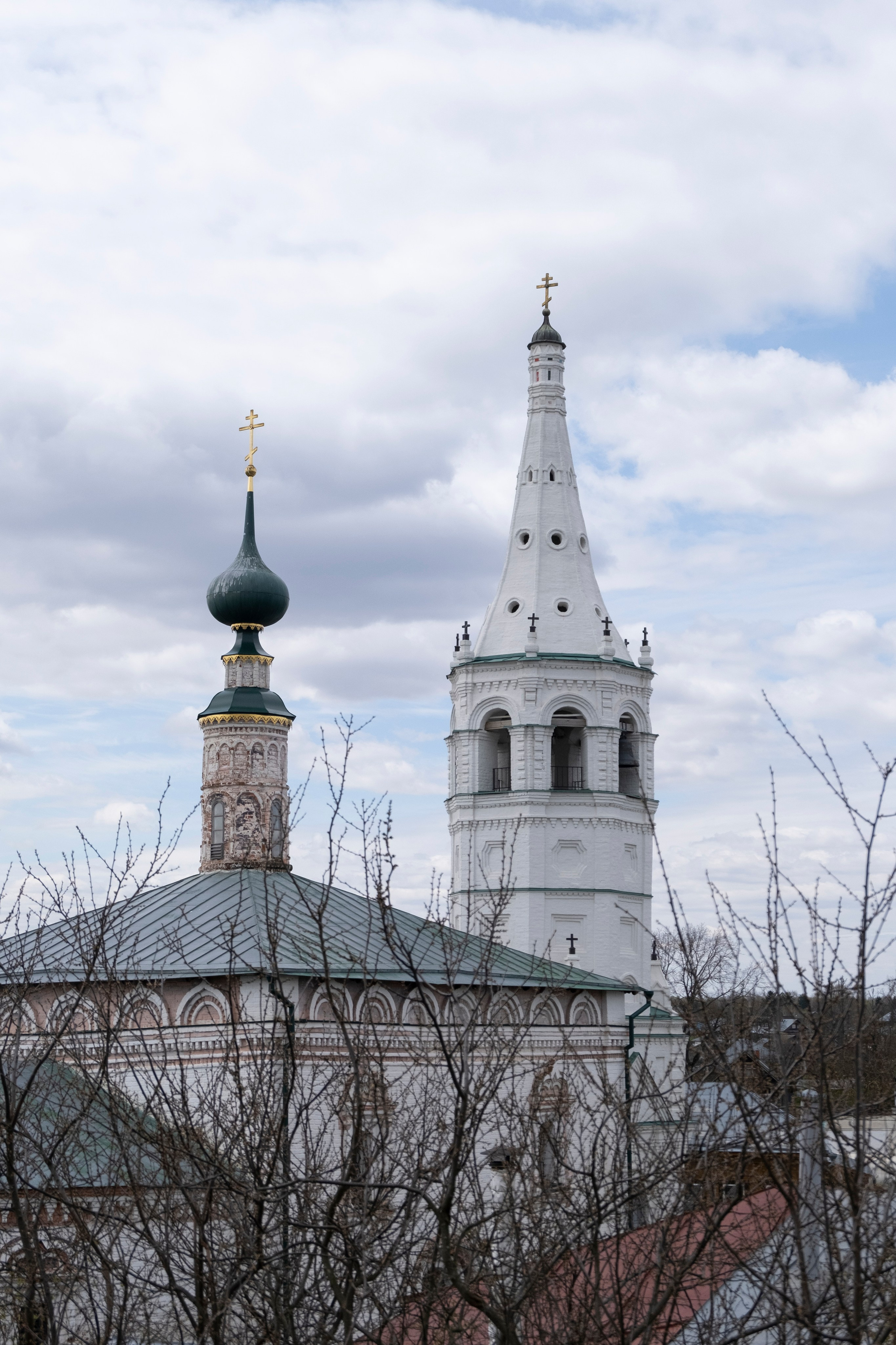 Суздаль. Фотографии города, архитектуры, цветов, макро, кошек. Москва