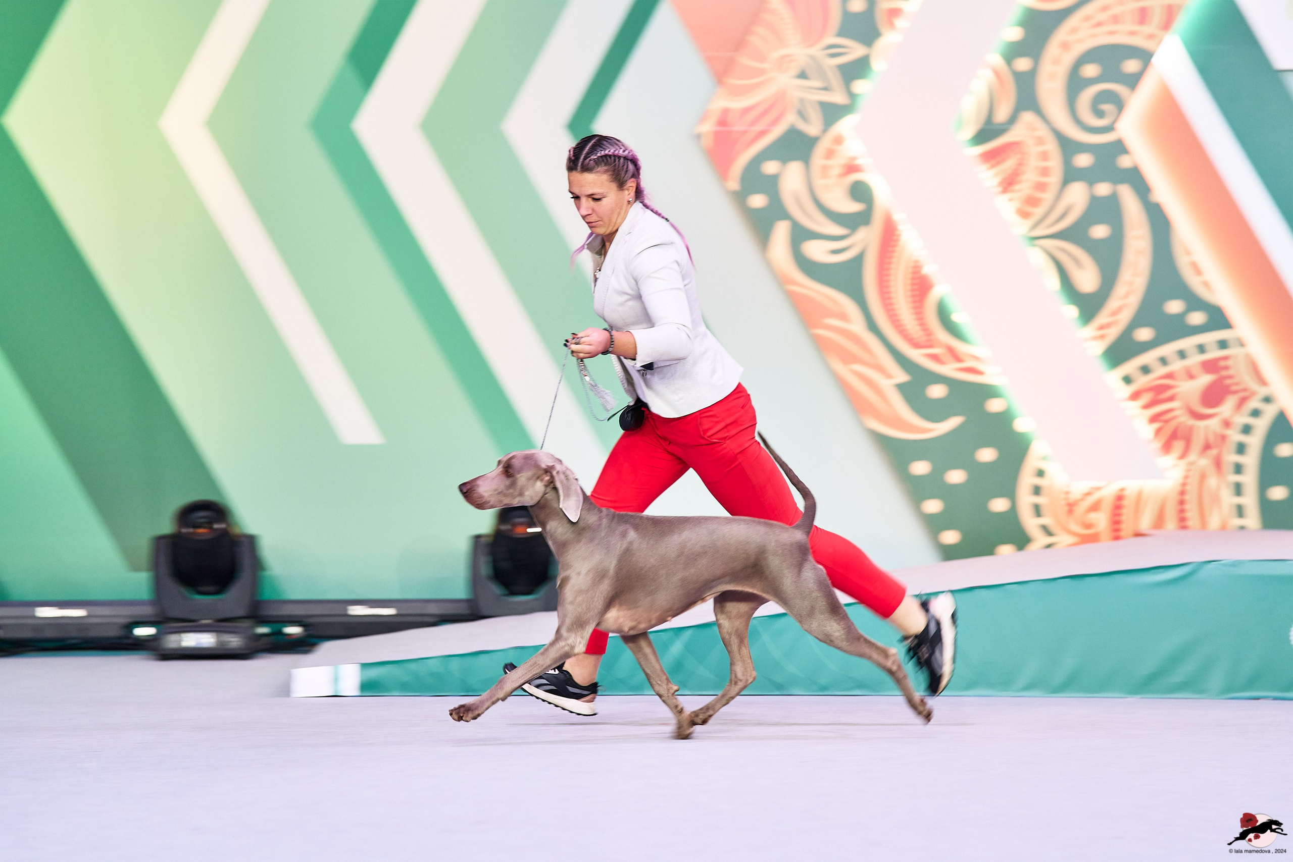 16.11.2024 «ЕВРАЗИЯ. КУБОК ПРЕЗИДЕНТА РКФ 2024»