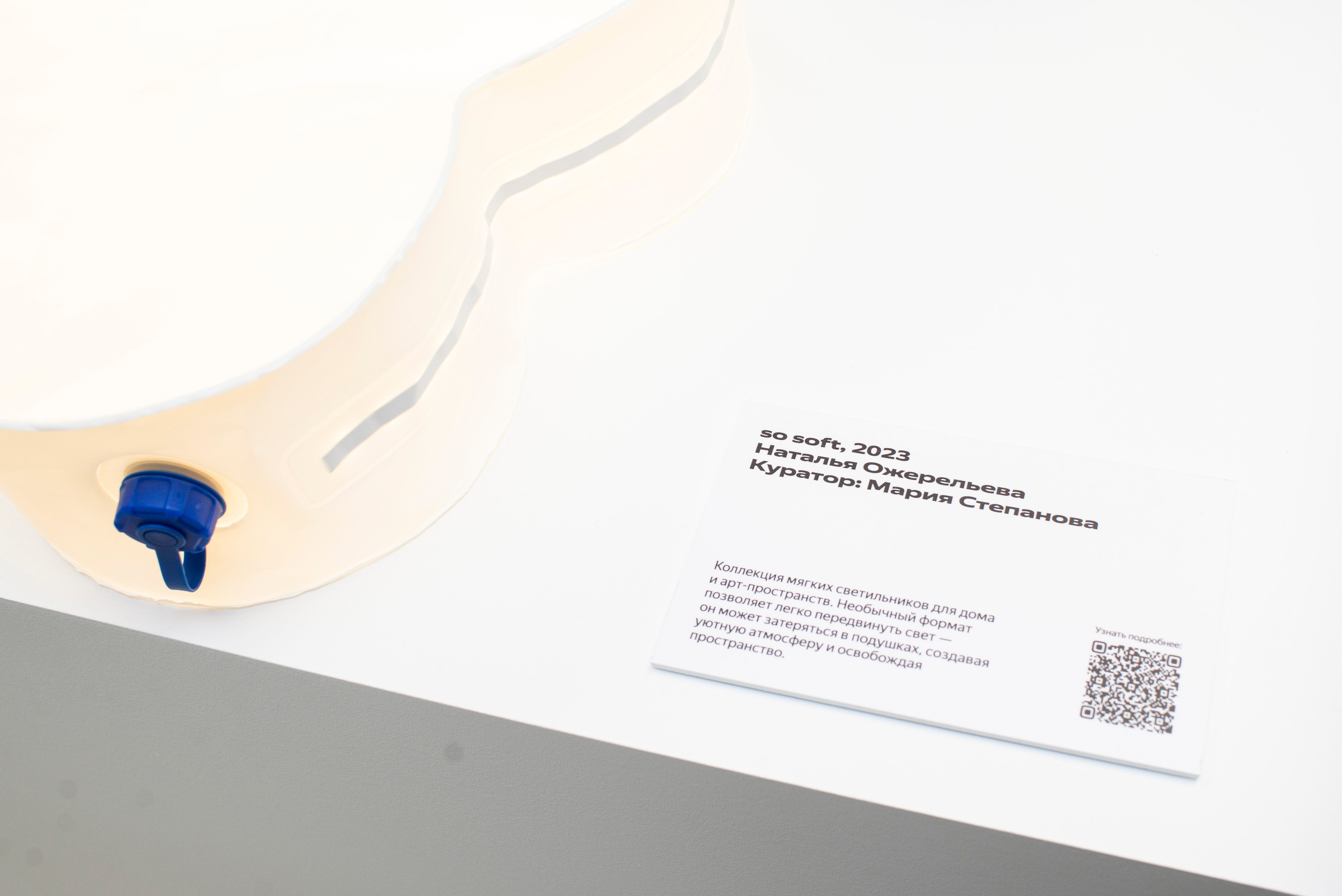 Выставка в Яндекс музее. Фотограф в Москве Алейникова Евгения