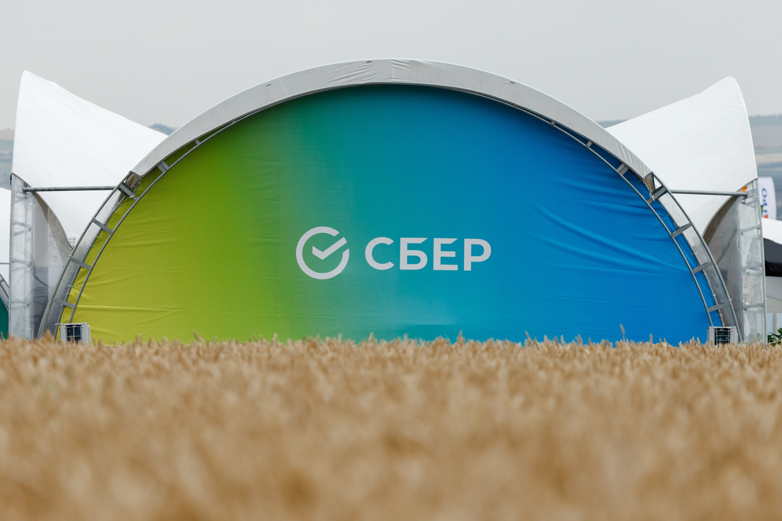 День Поля 2024 Мин-Воды ЭКСПО. Фотограф Ставрополь Петр Голубенко