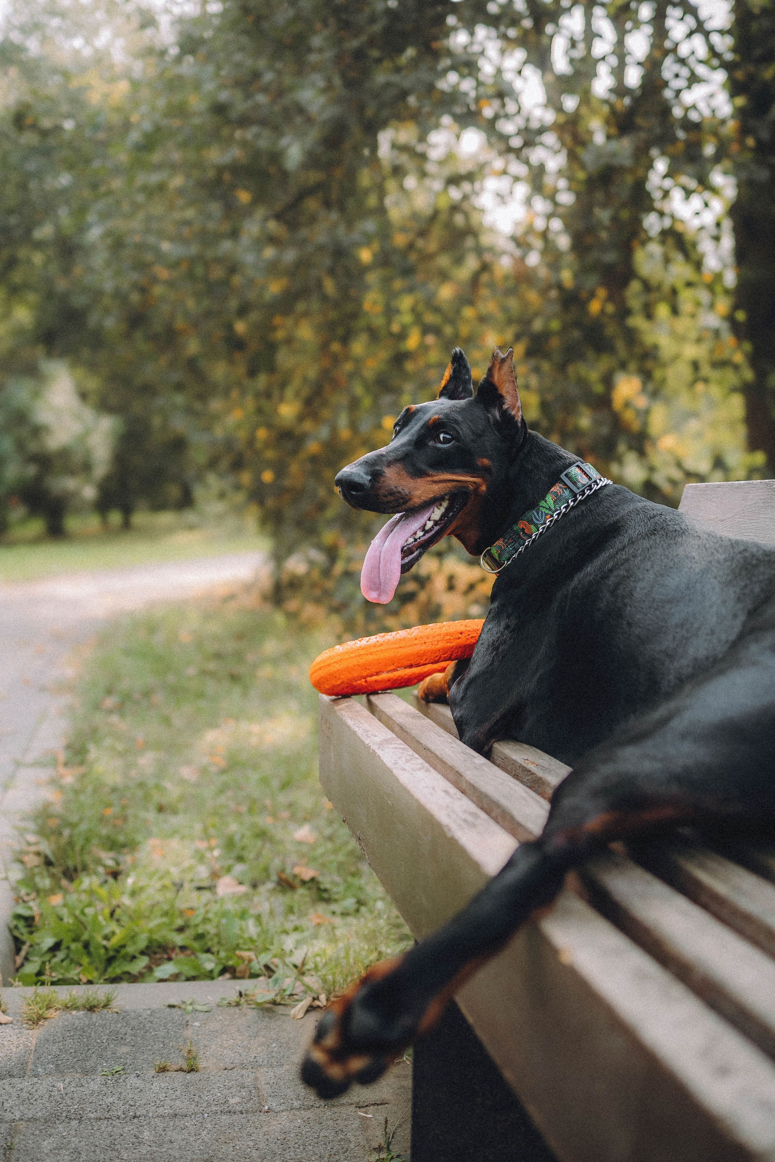 Паша и Хайди