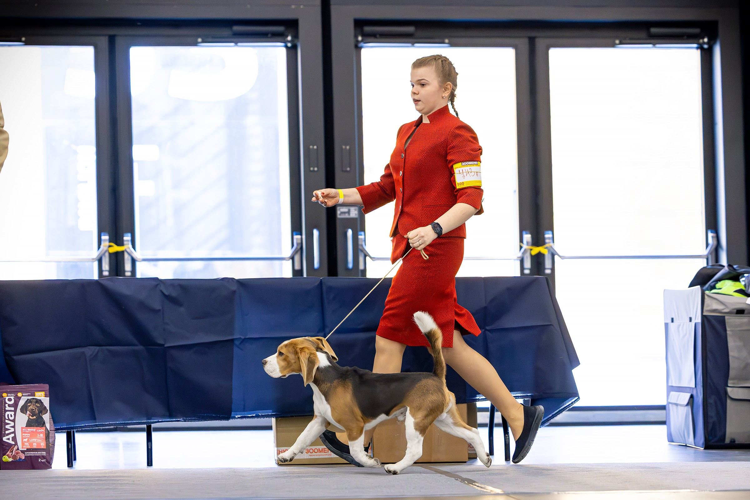 26–27 апреля 2025, Выставка РКФ, г. Санкт-Петербург. Htykk_photo